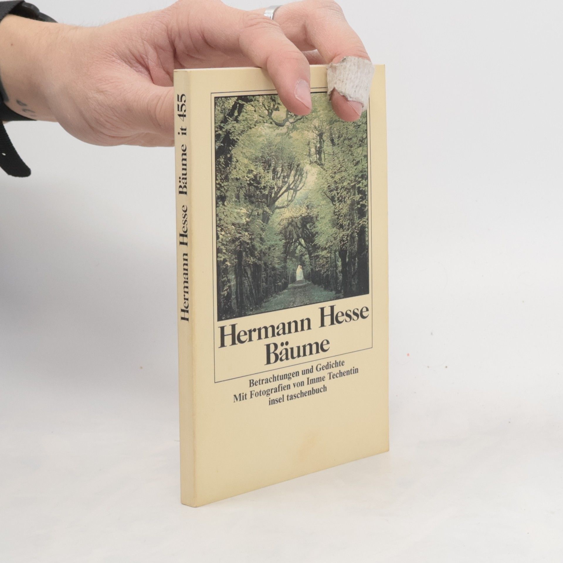 Hermann Hesse Bäume