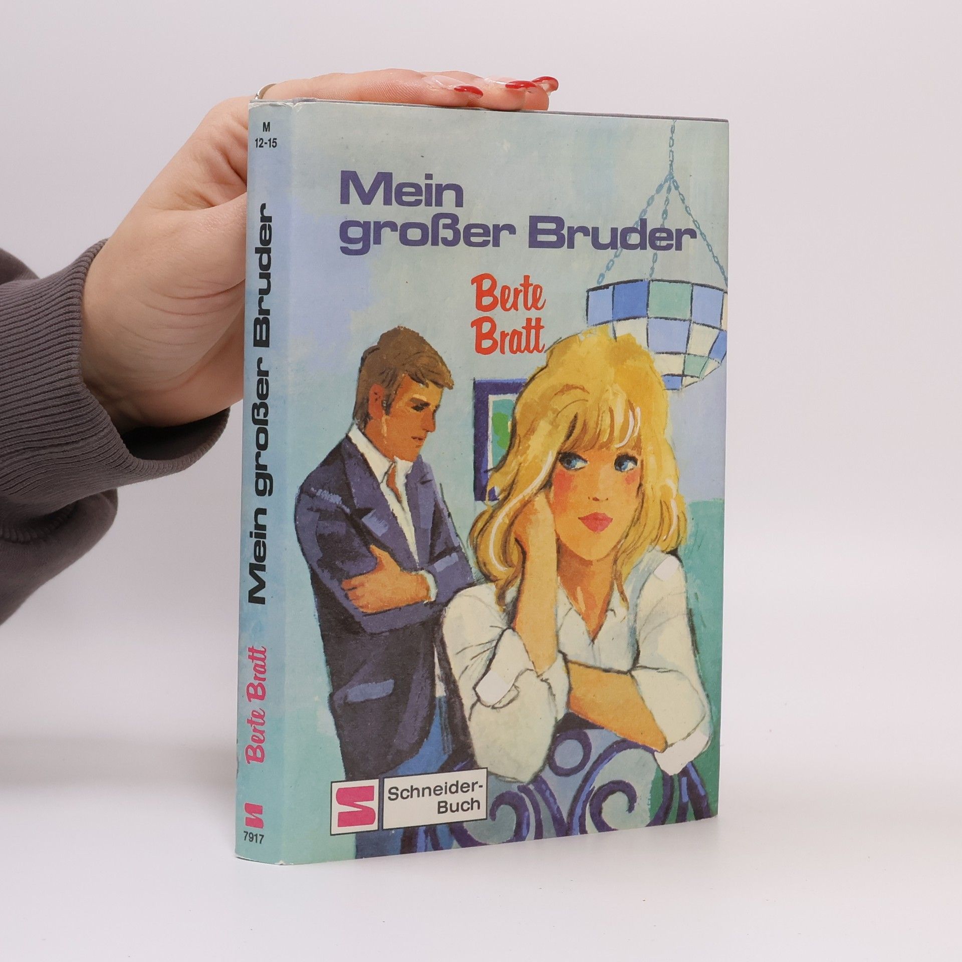 Berte Bratt Mein großer Bruder. Roman