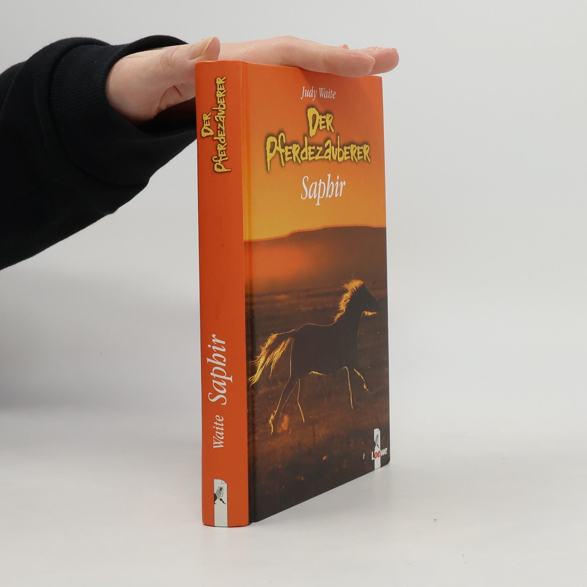 Der Pferdezauberer. Saphir