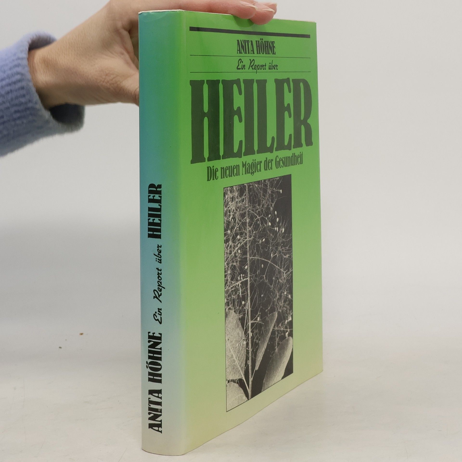 Anita Höhne Ein Report über Heiler