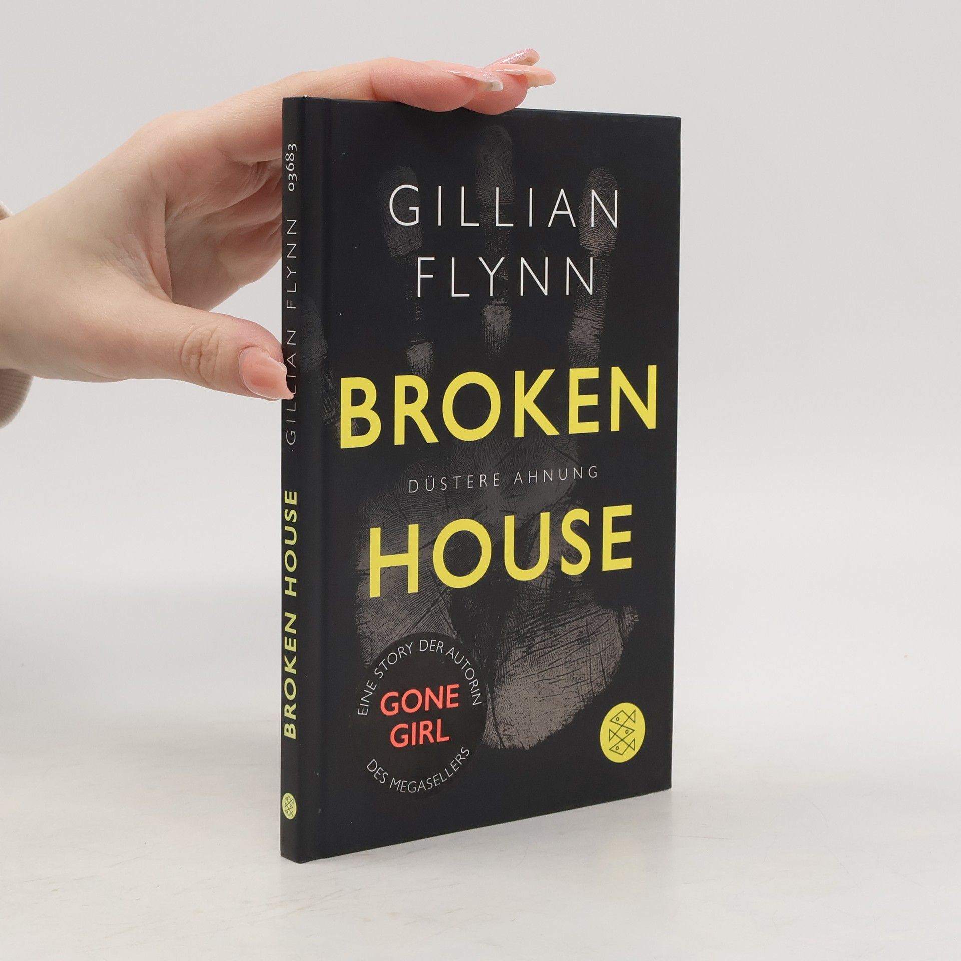 Gillian Flynn Broken House