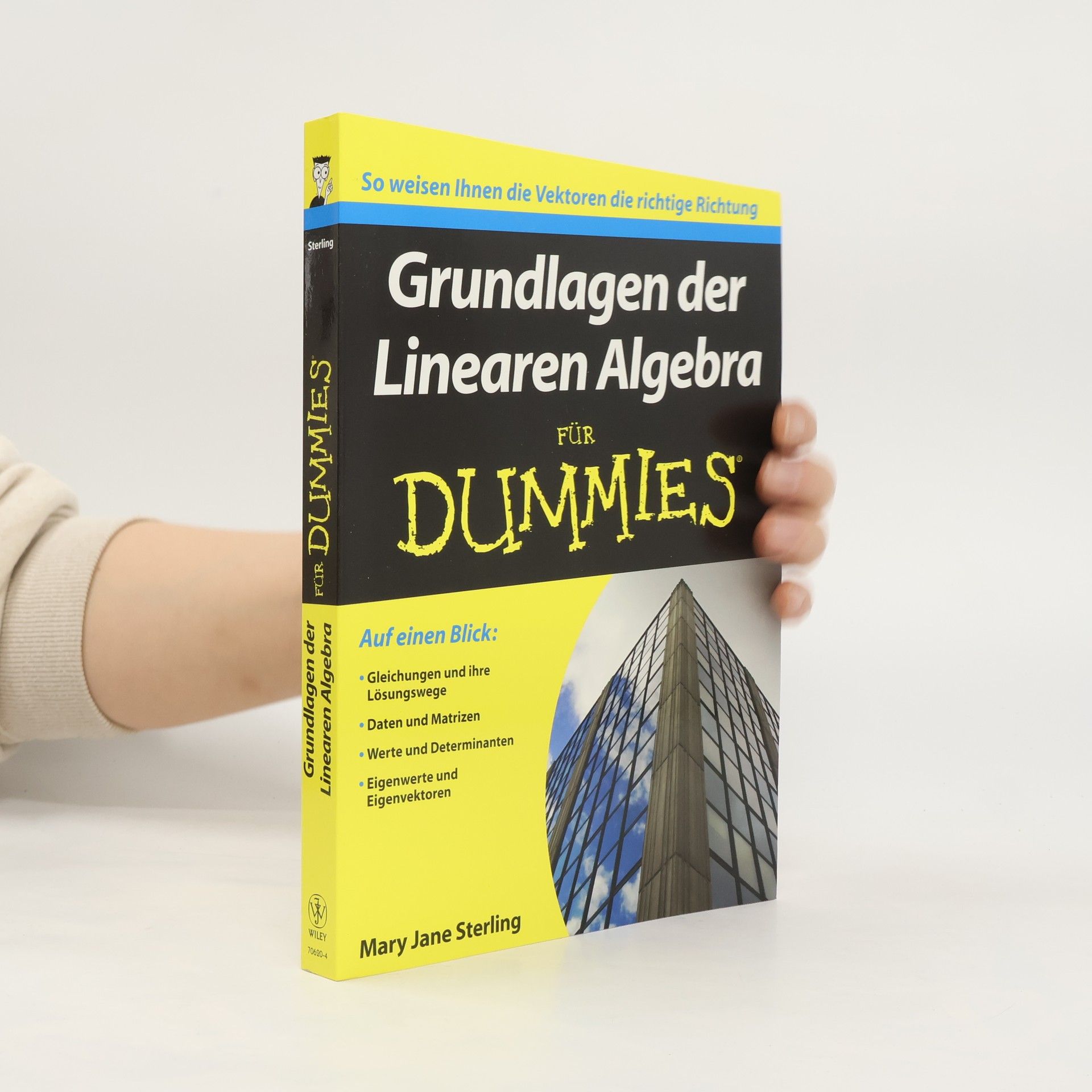 Mary Jane Sterling Grundlagen der Linearen Algebra für Dummies