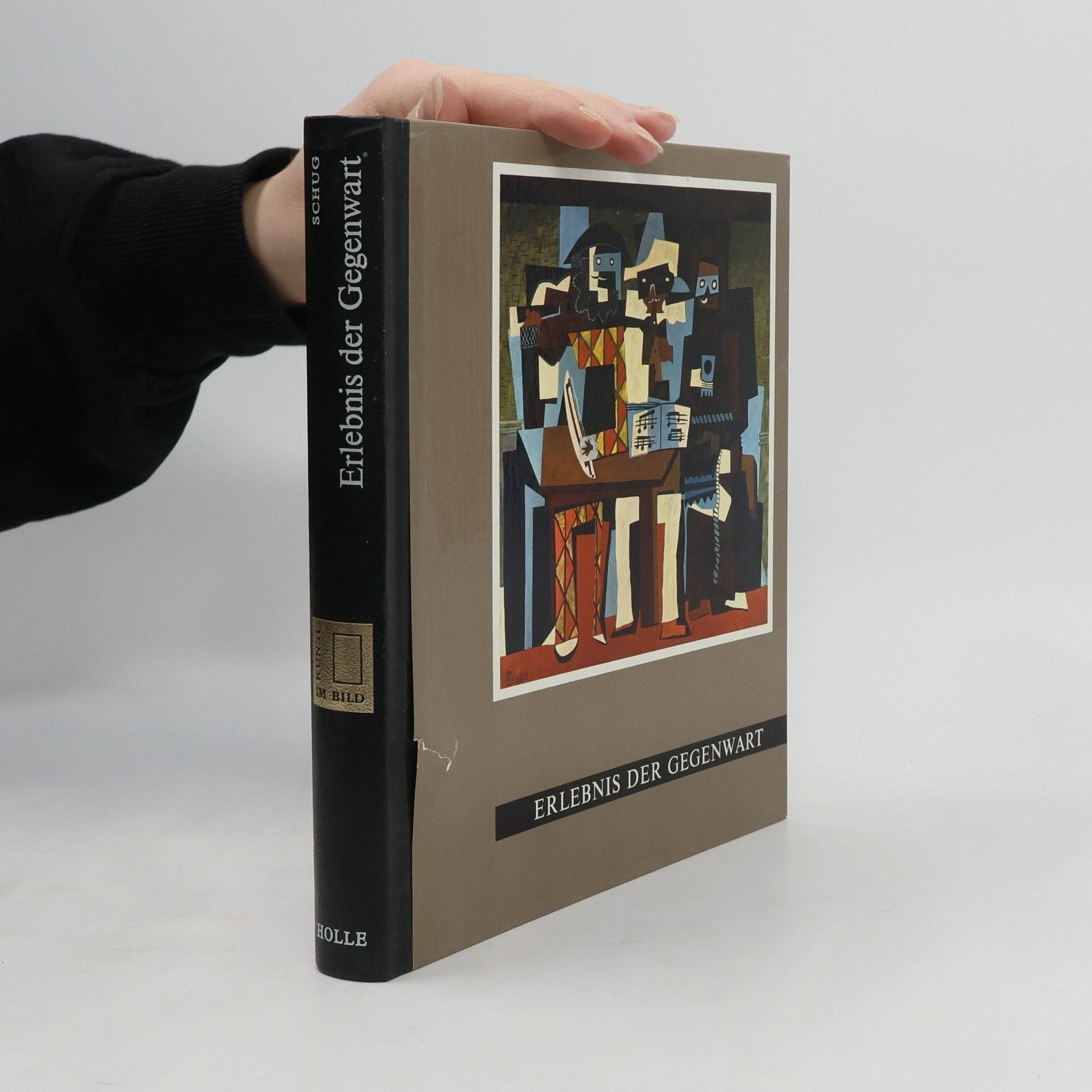 Kunst im Bild. Erlebnis der Gegenwart