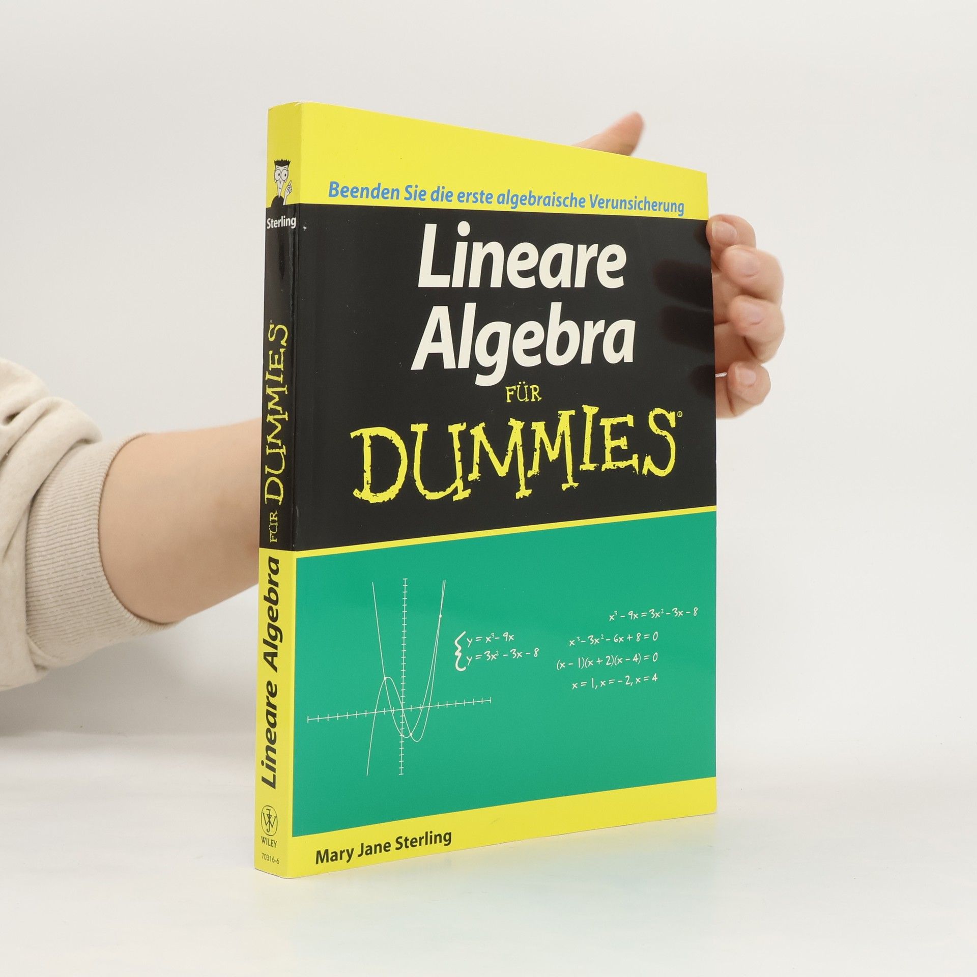 Mary Jane Sterling Lineare Algebra für Dummies