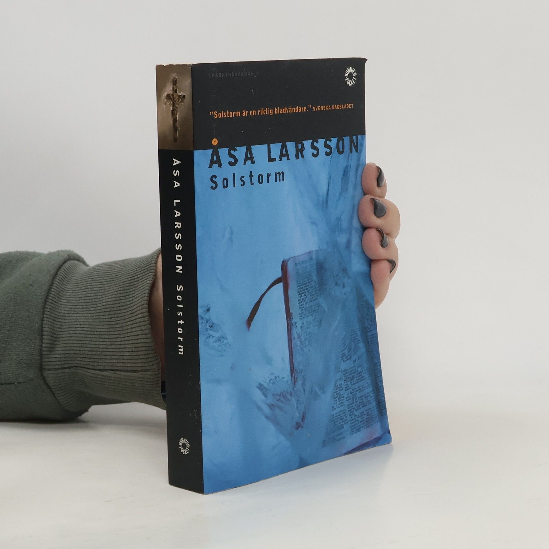 Åsa Larsson Solstorm