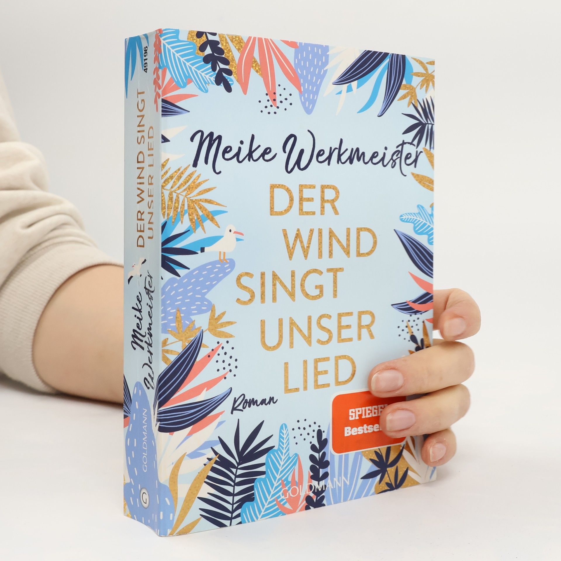 Meike Werkmeister Der Wind singt unser Lied
