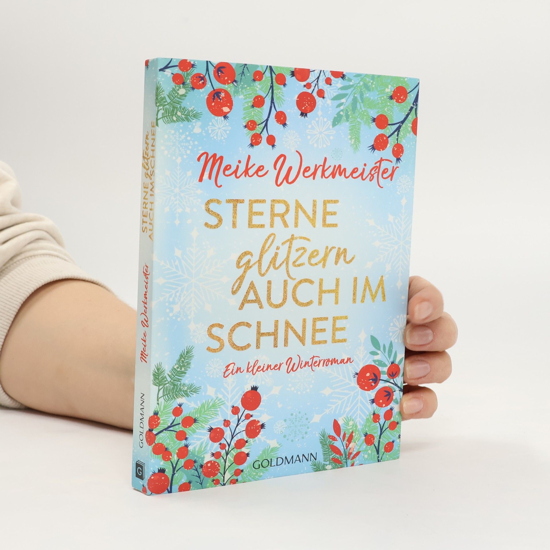 Meike Werkmeister Sterne glitzern auch im Schnee