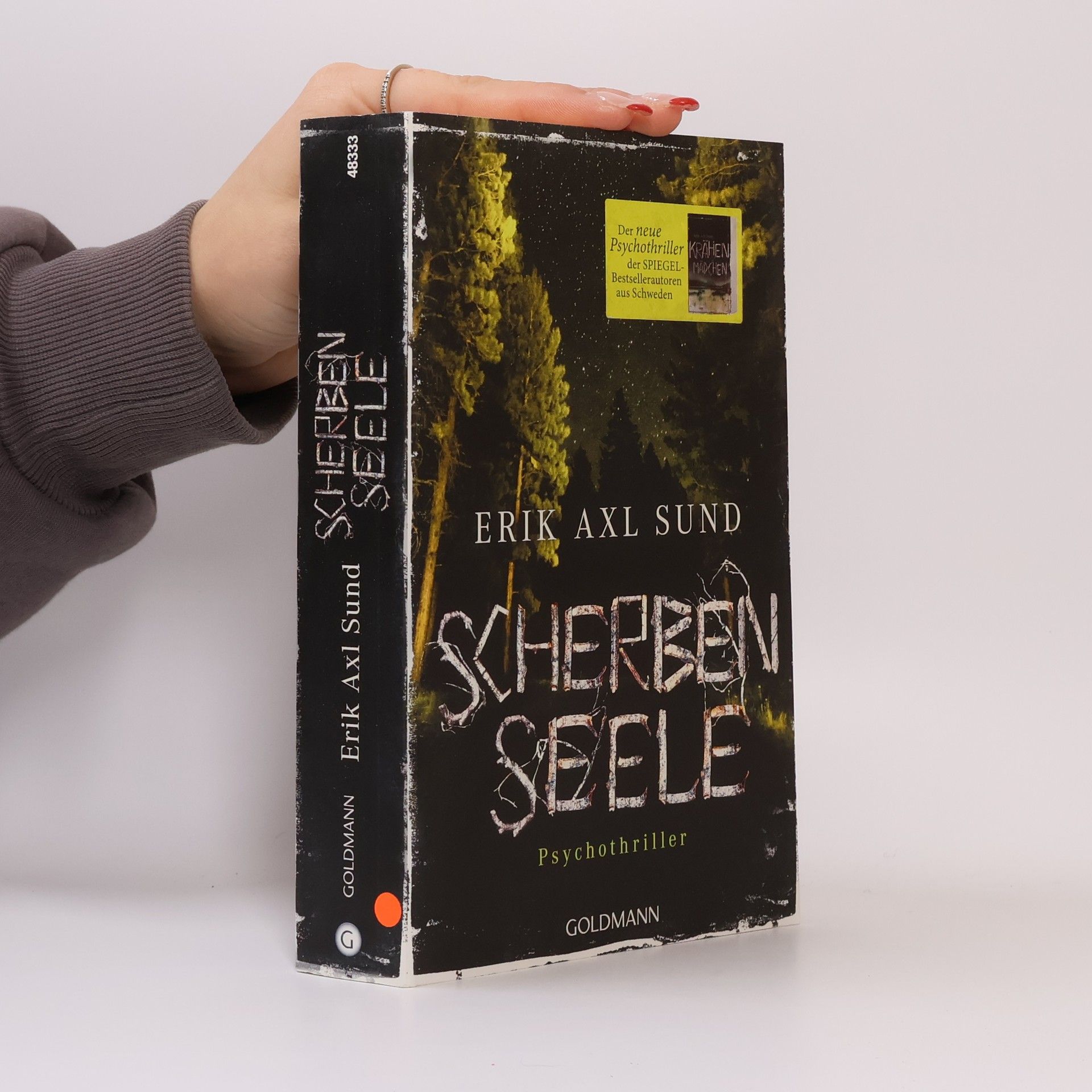 Erik Axl Sund Scherbenseele