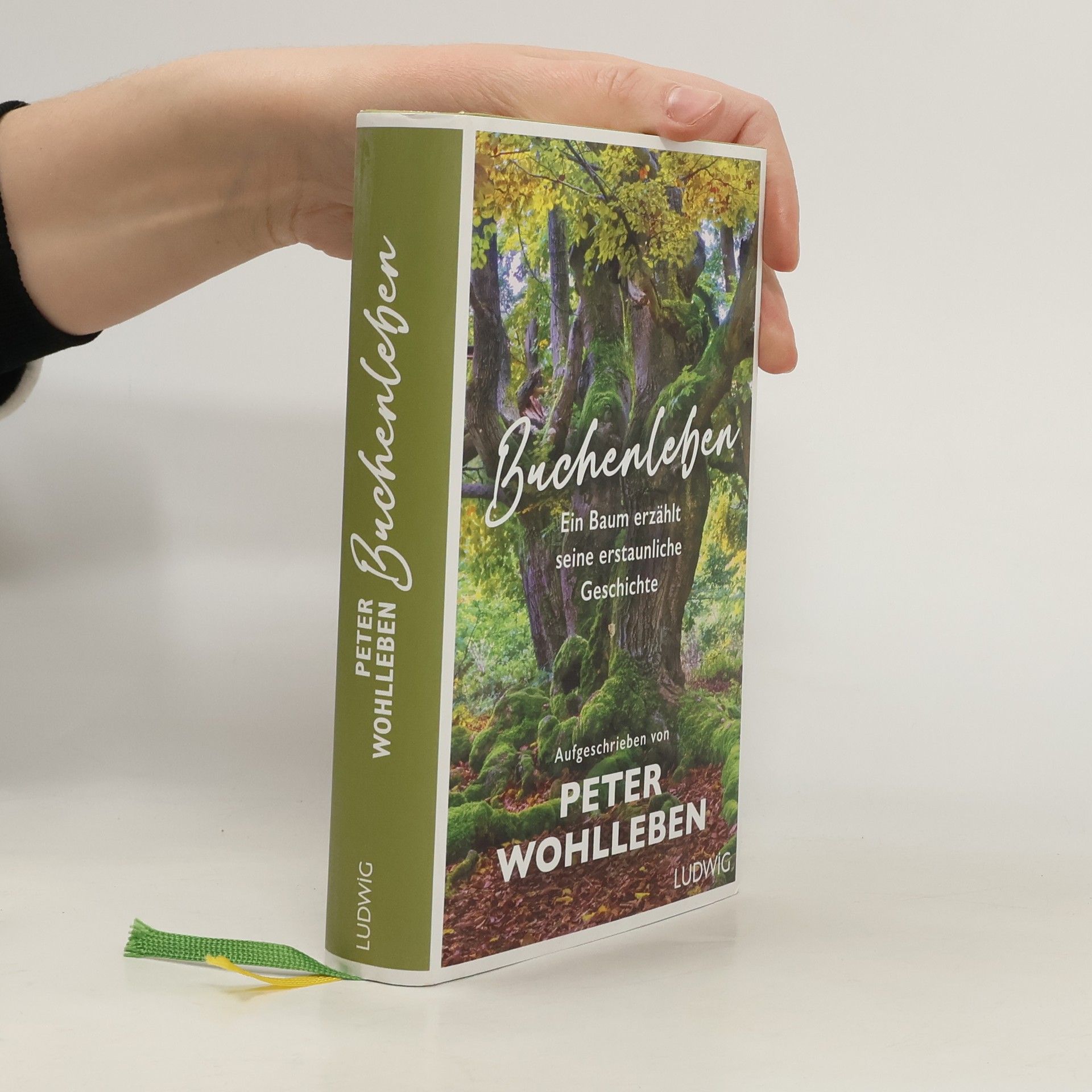 Peter Wohlleben Buchenleben. Ein Baum erzählt seine erstaunliche Geschichte