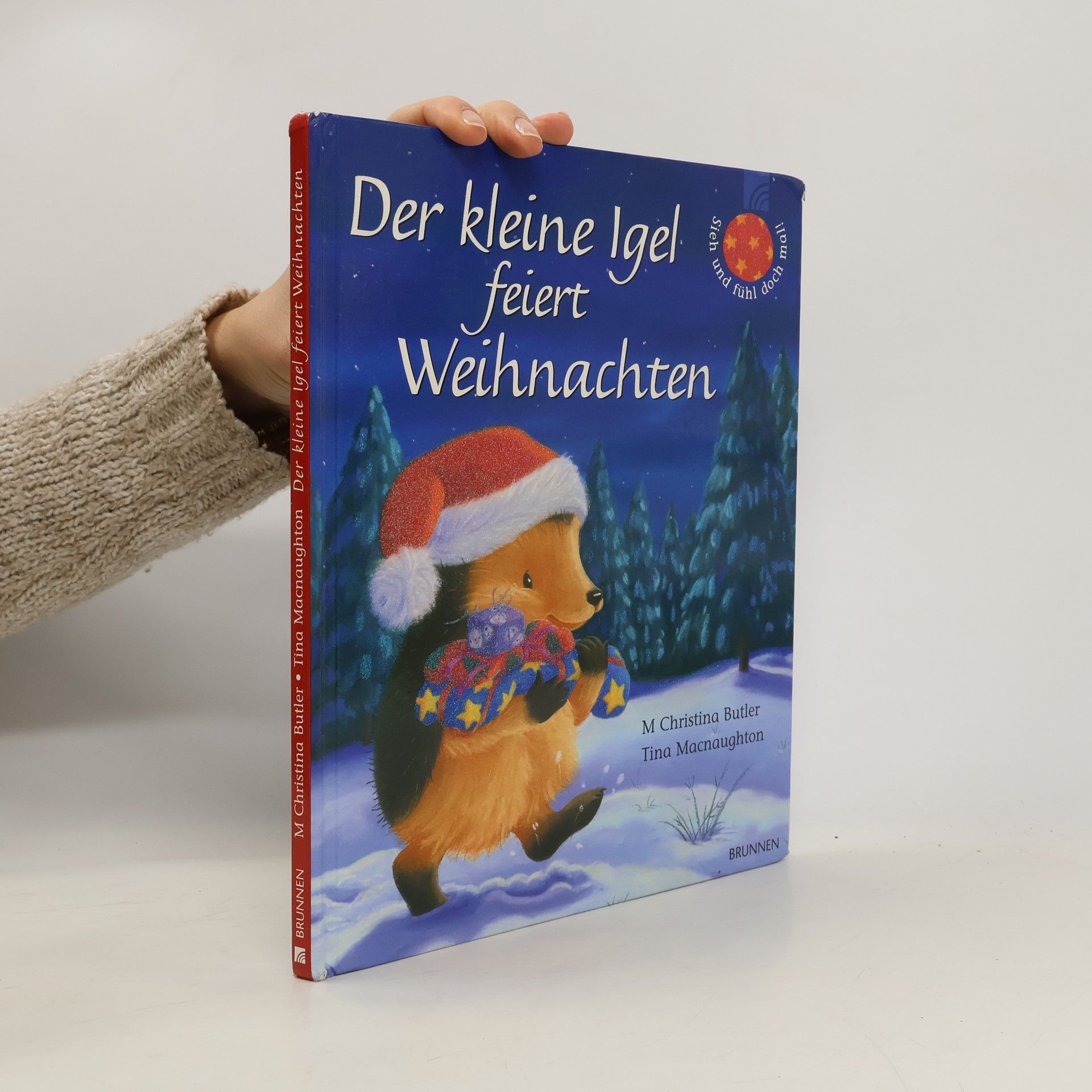 Der kleine Igel feiert Weihnachten