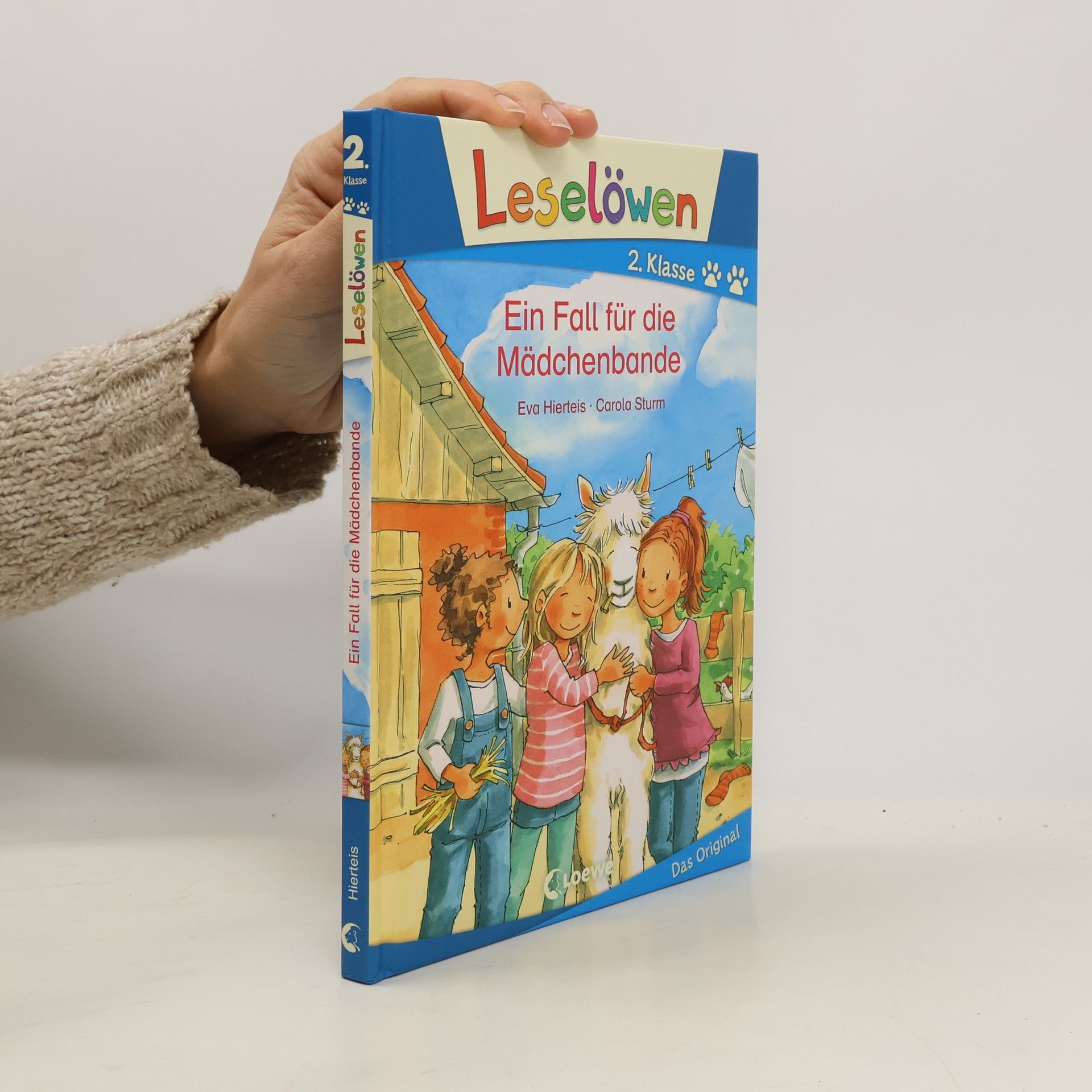 Eva Hierteis Ein Fall für die Mädchenbande