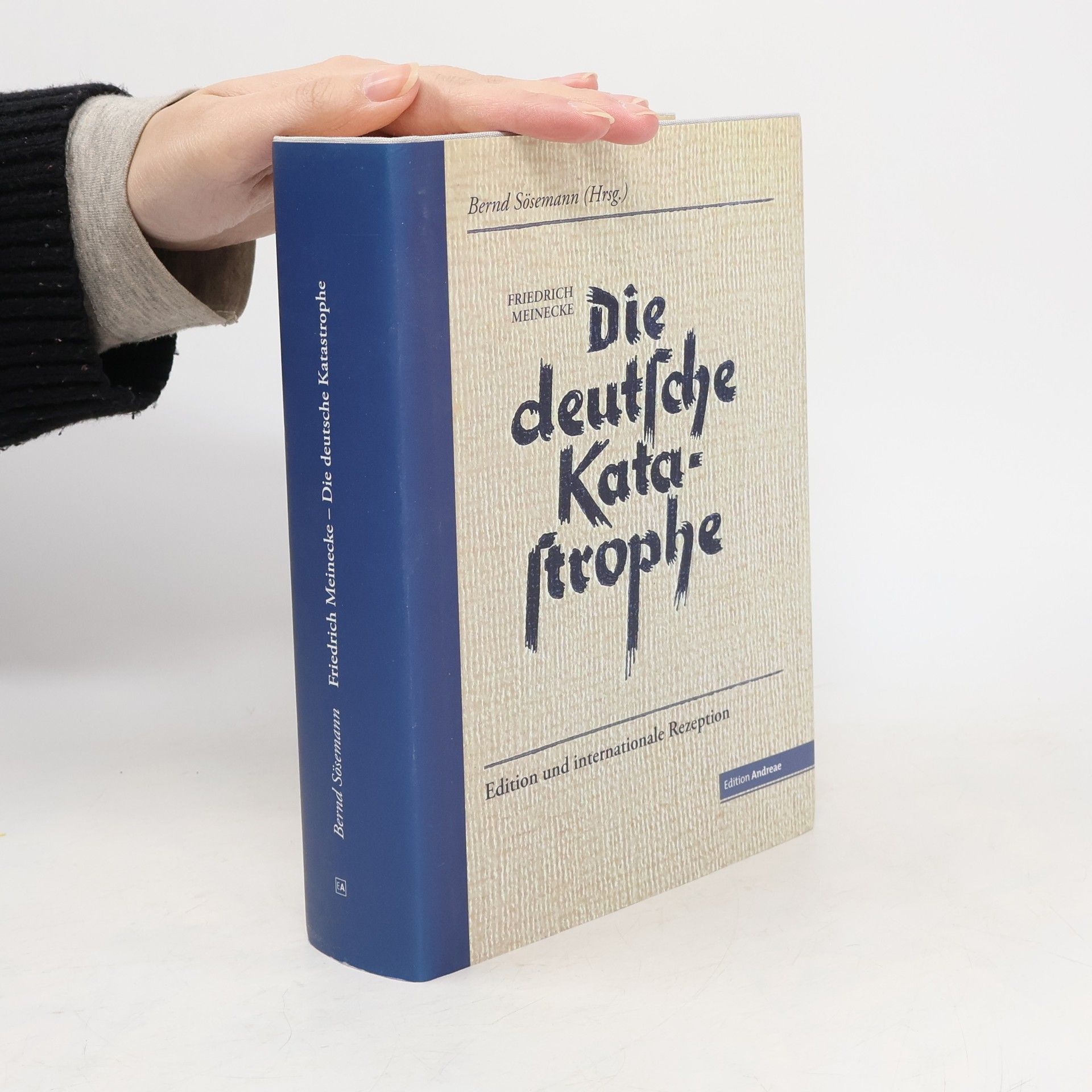 Bernd Sösemann Die deutsche Katastrophe