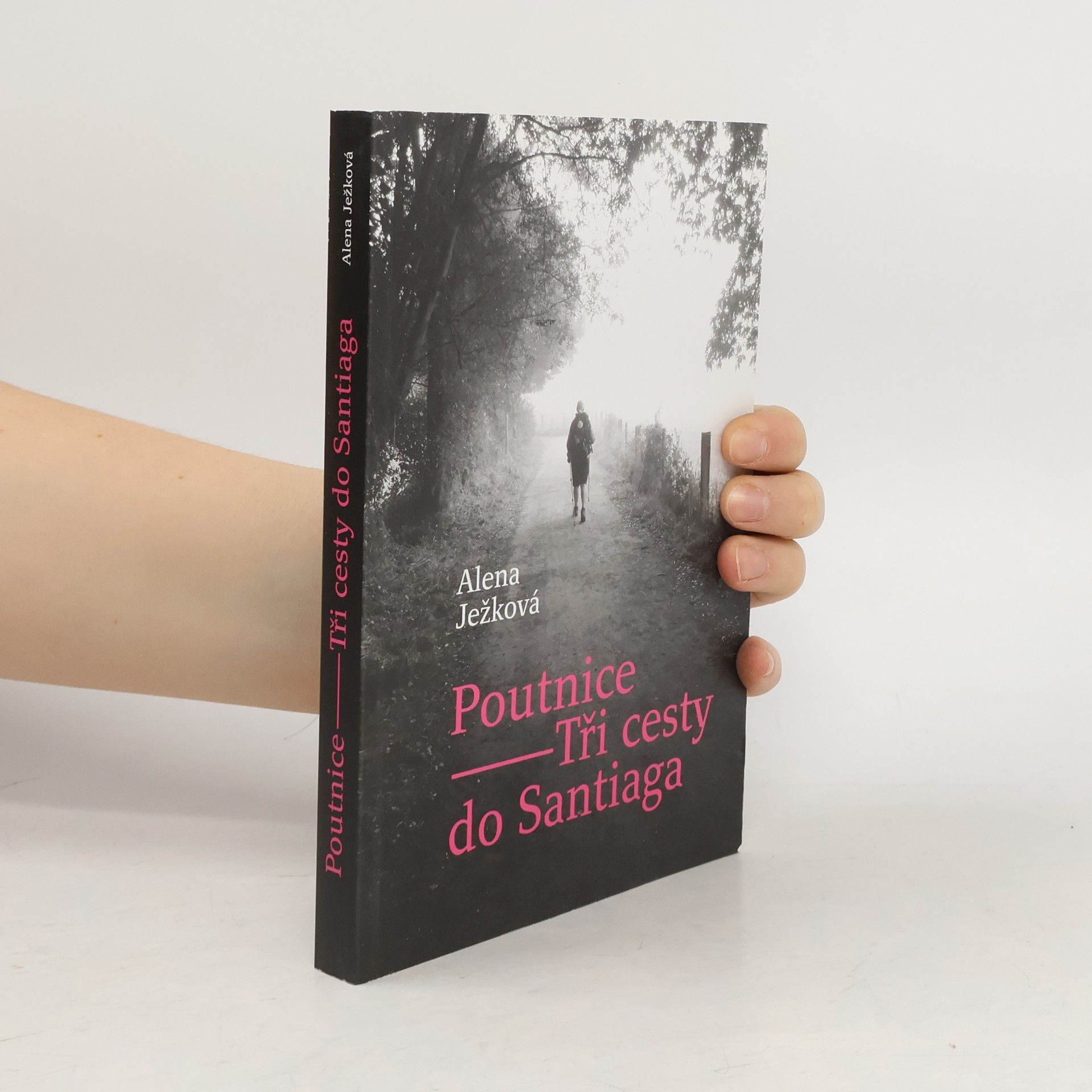 Alena Ježková Poutnice: Tři cesty do Santiaga