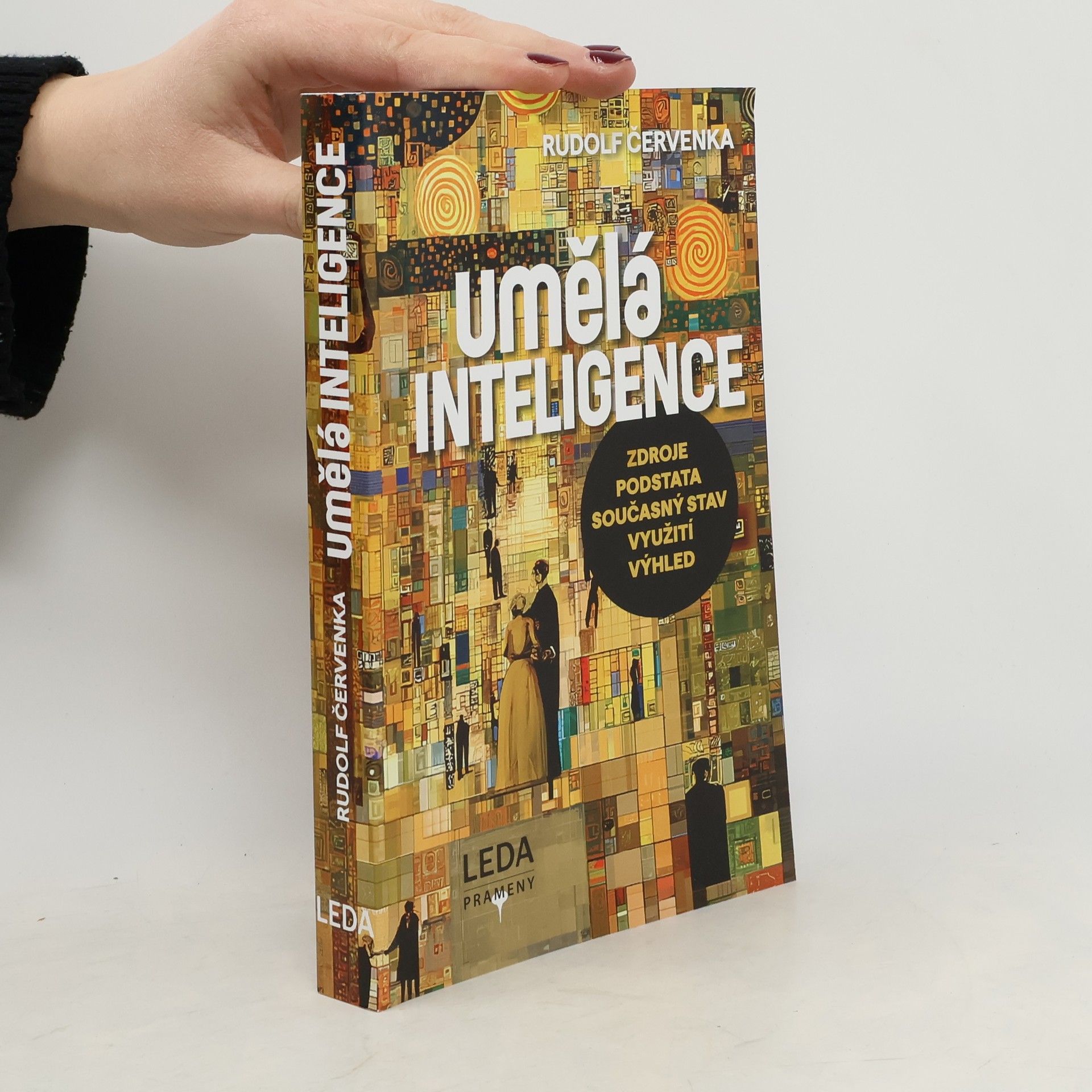 Rudolf Červenka Umělá inteligence