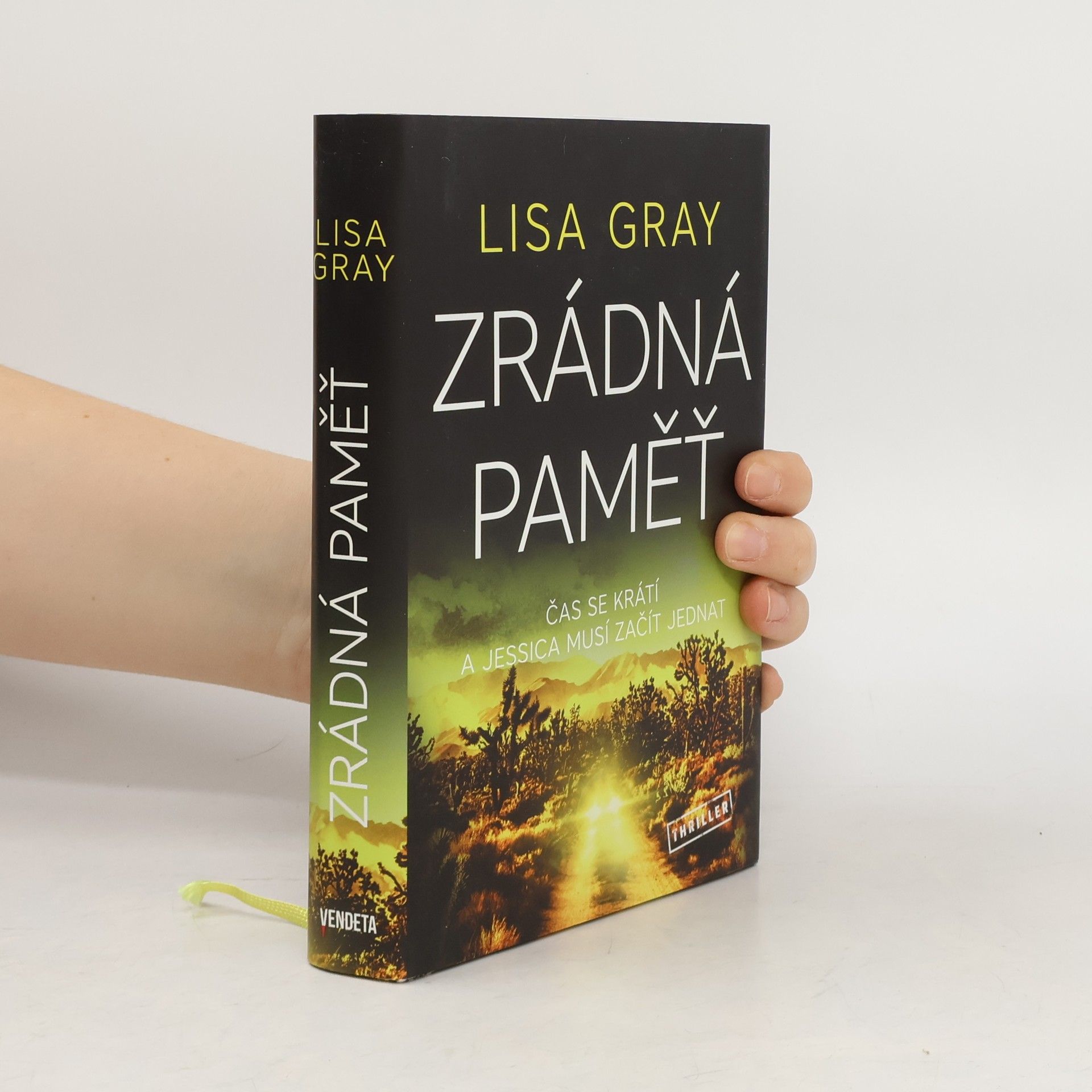 Lisa Gray Zrádná paměť