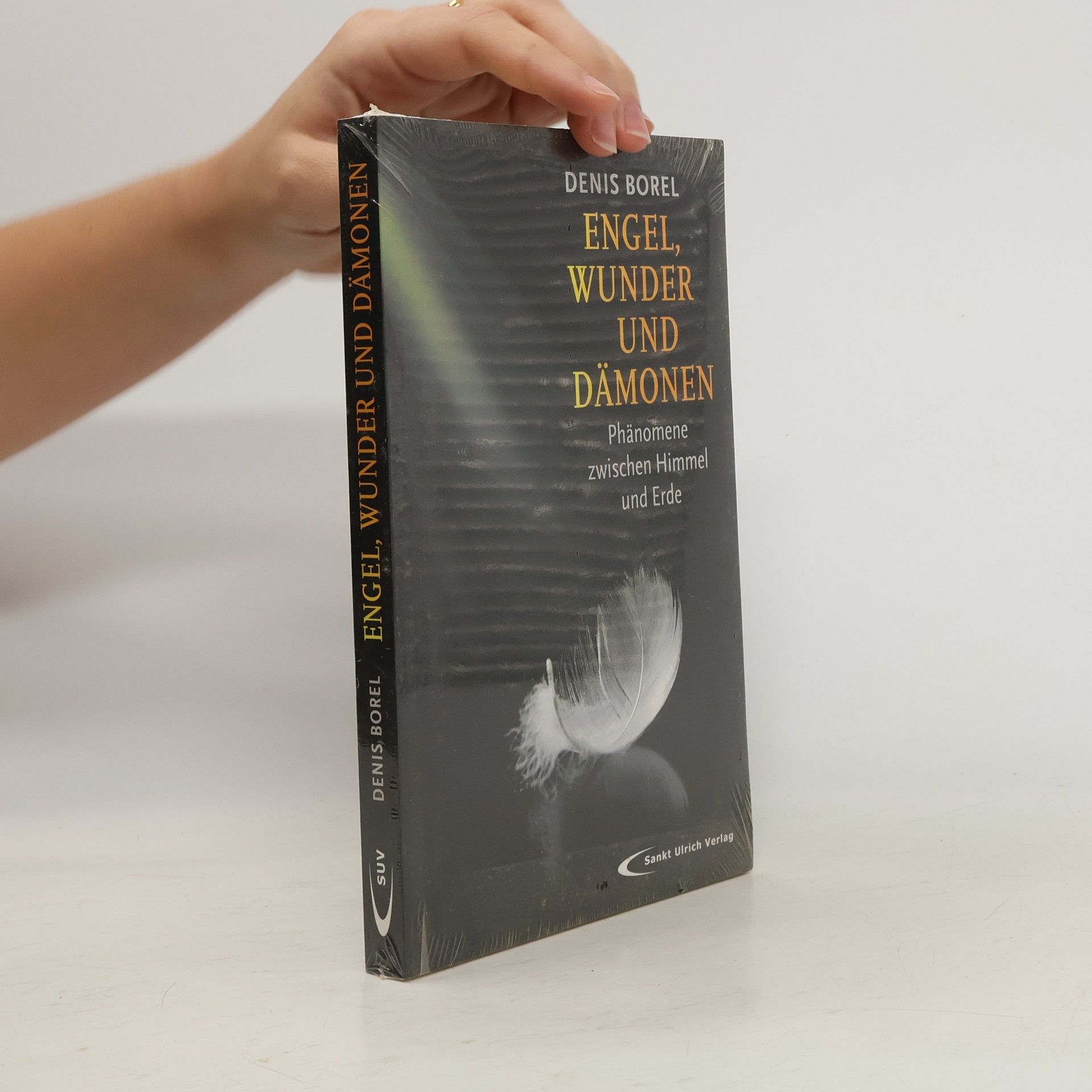 Denis Borel Engel, Wunder und Dämonen