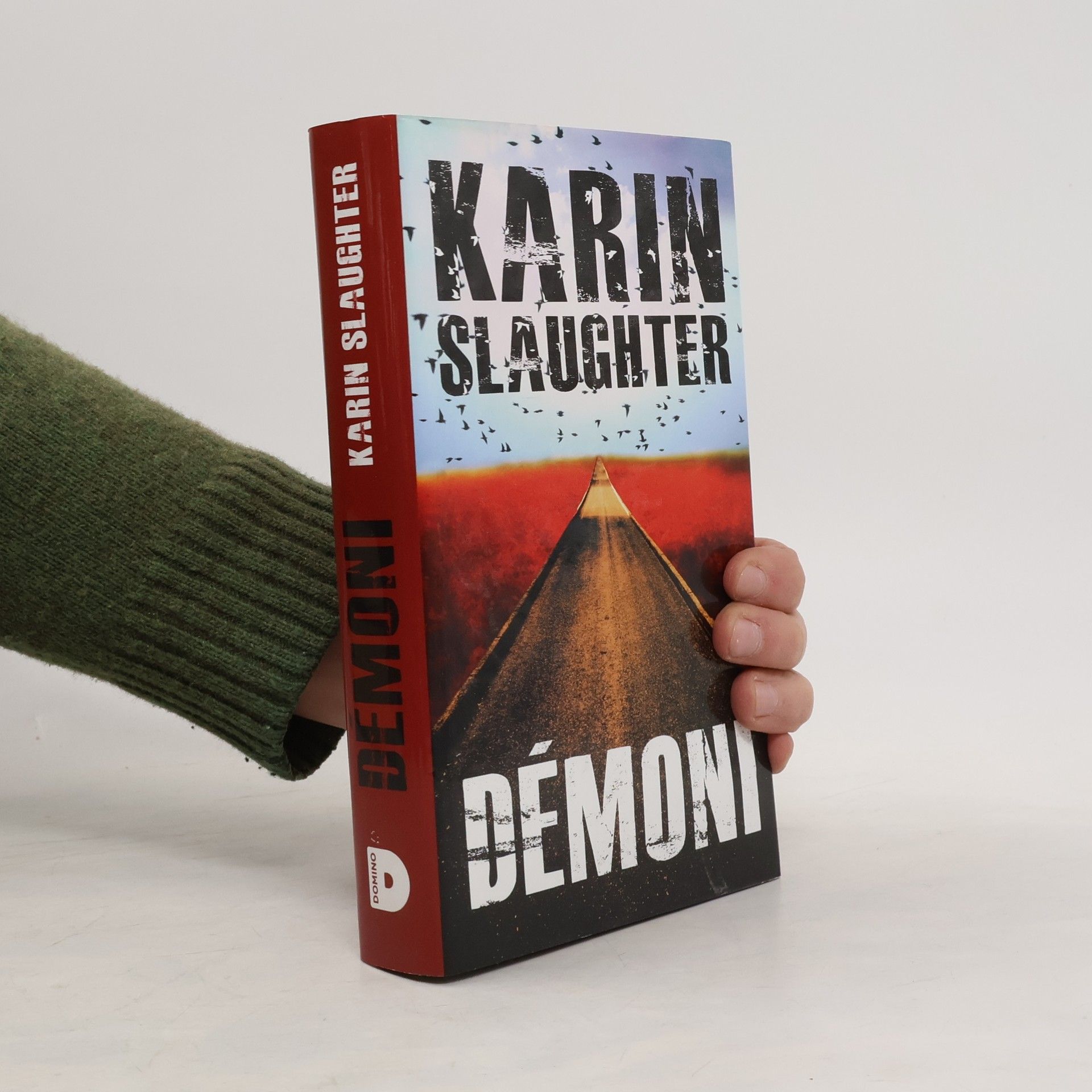 Karin Slaughter Démoni