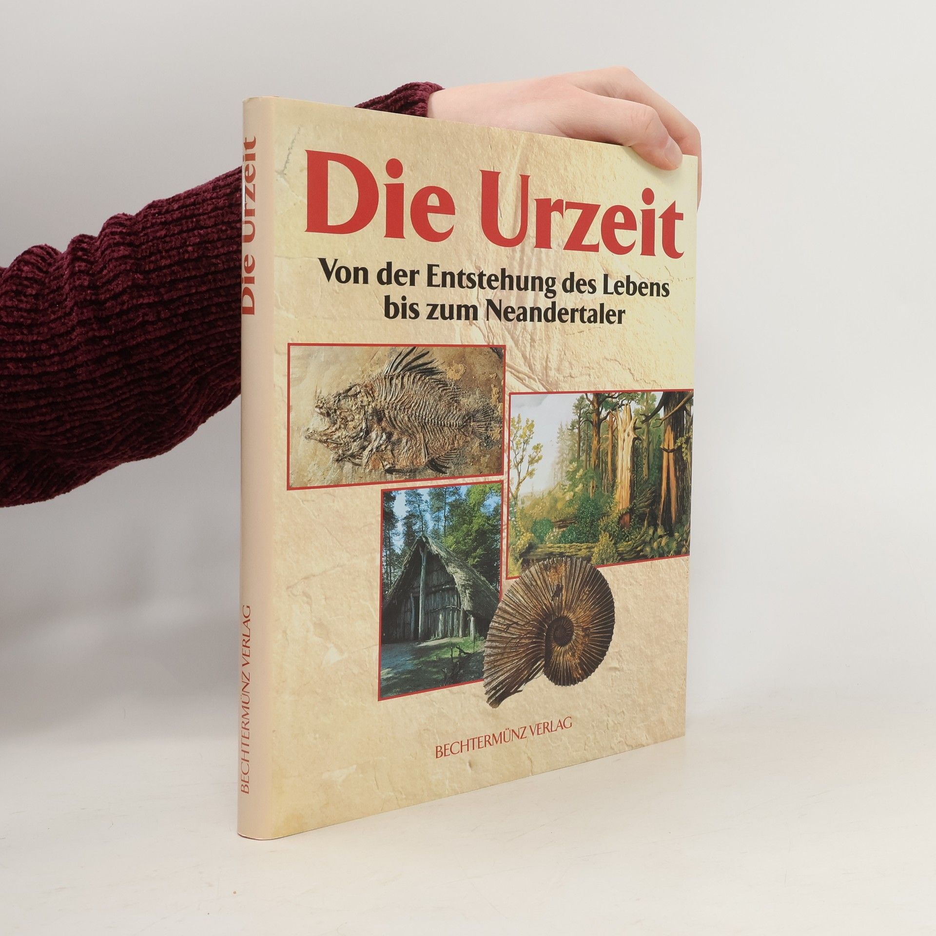Kolektiv autorů Die Urzeit