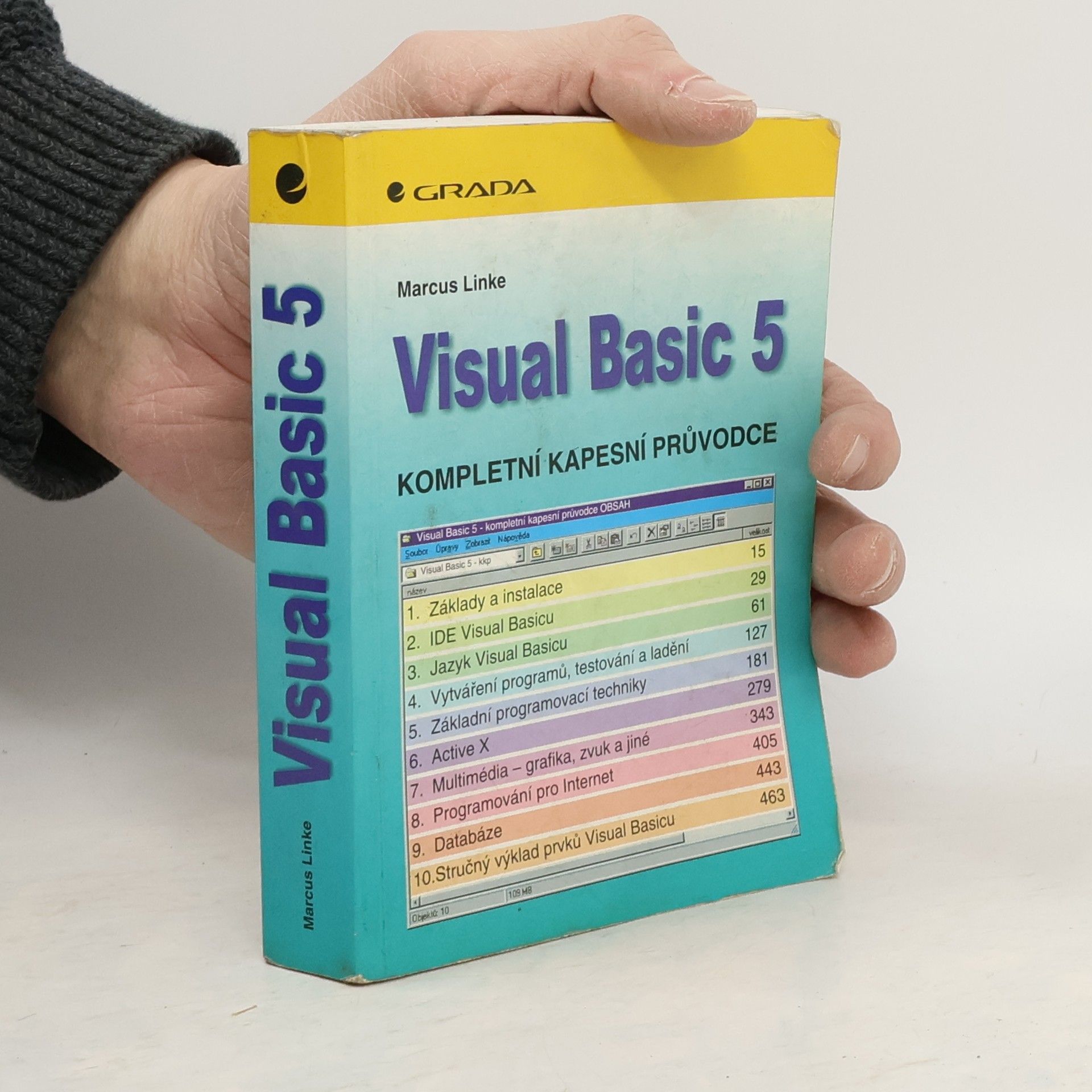 Visual Basic 5 : Kompletní kapesní průvodce