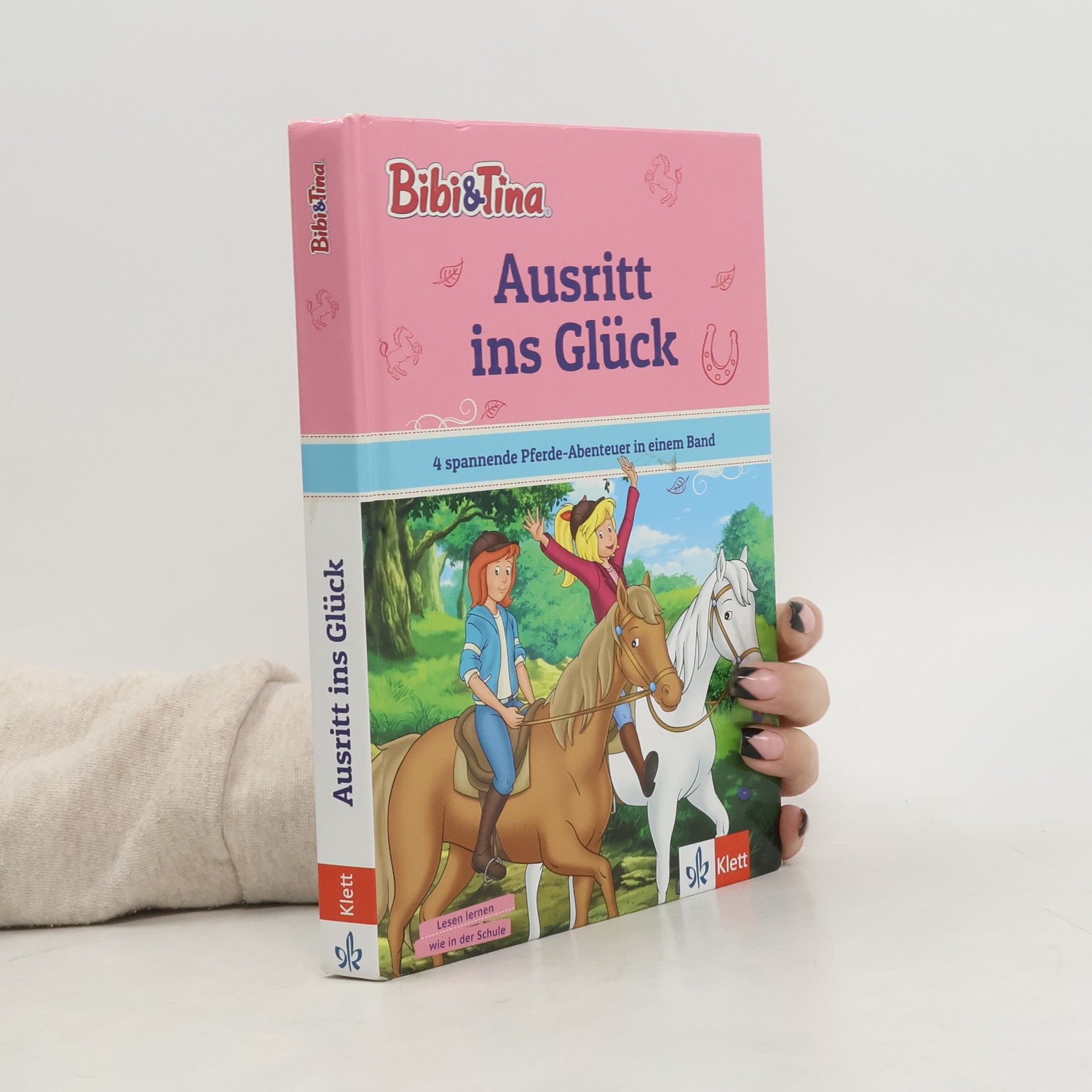 Autorenkollektiv Bibi & Tina: Ausritt ins Glück