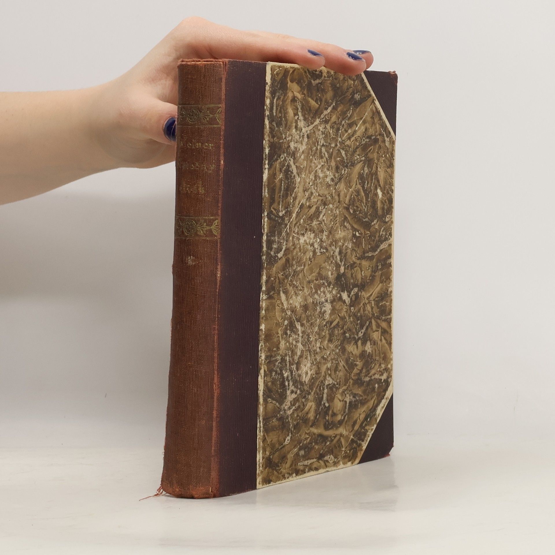 Richard Weiner Netečný divák a jiné prósy