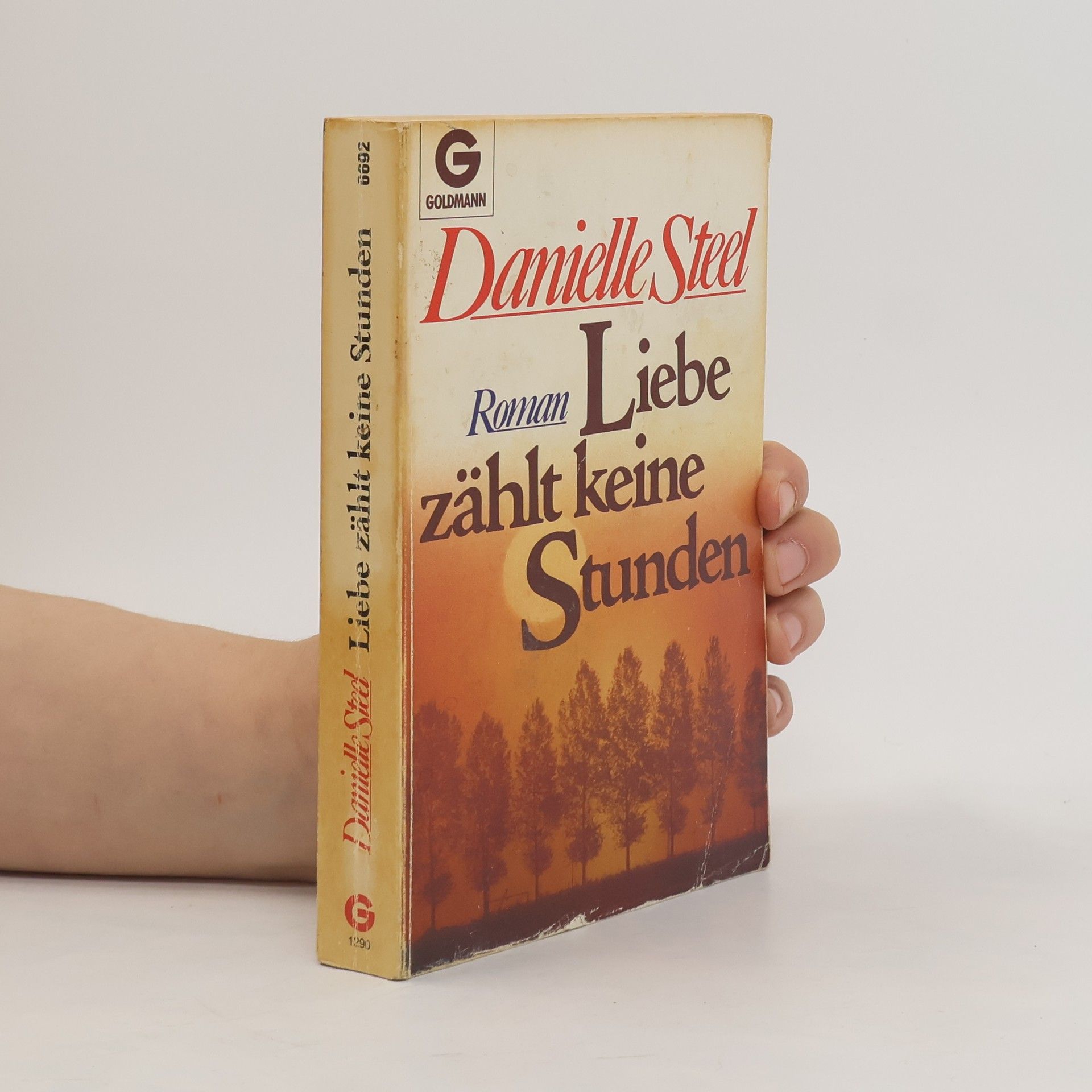 Danielle Steel Liebe zählt keine Stunden