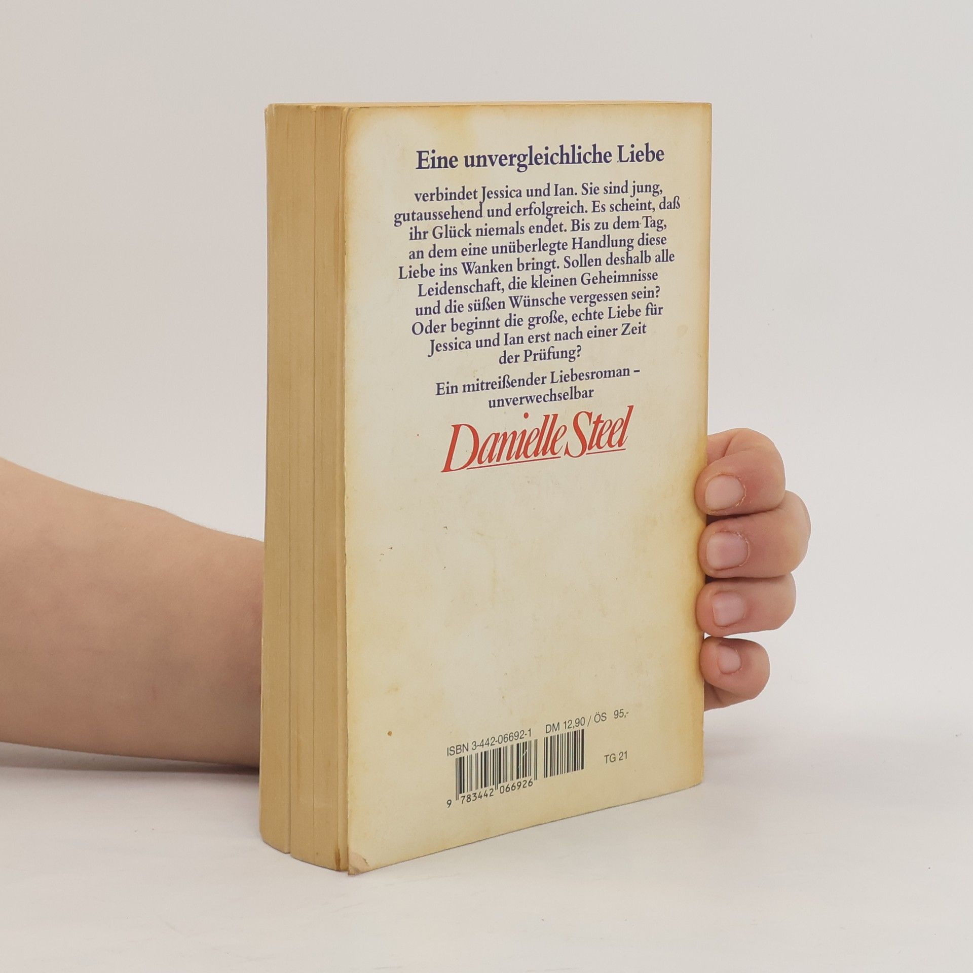 Danielle Steel Liebe zählt keine Stunden