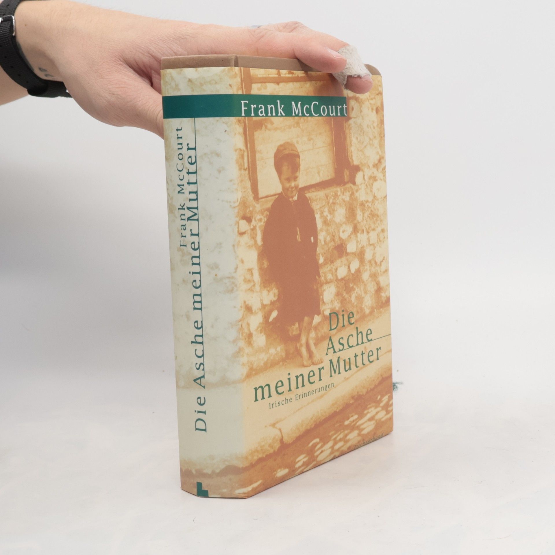 Frank McCourt Die Asche meiner Mutter