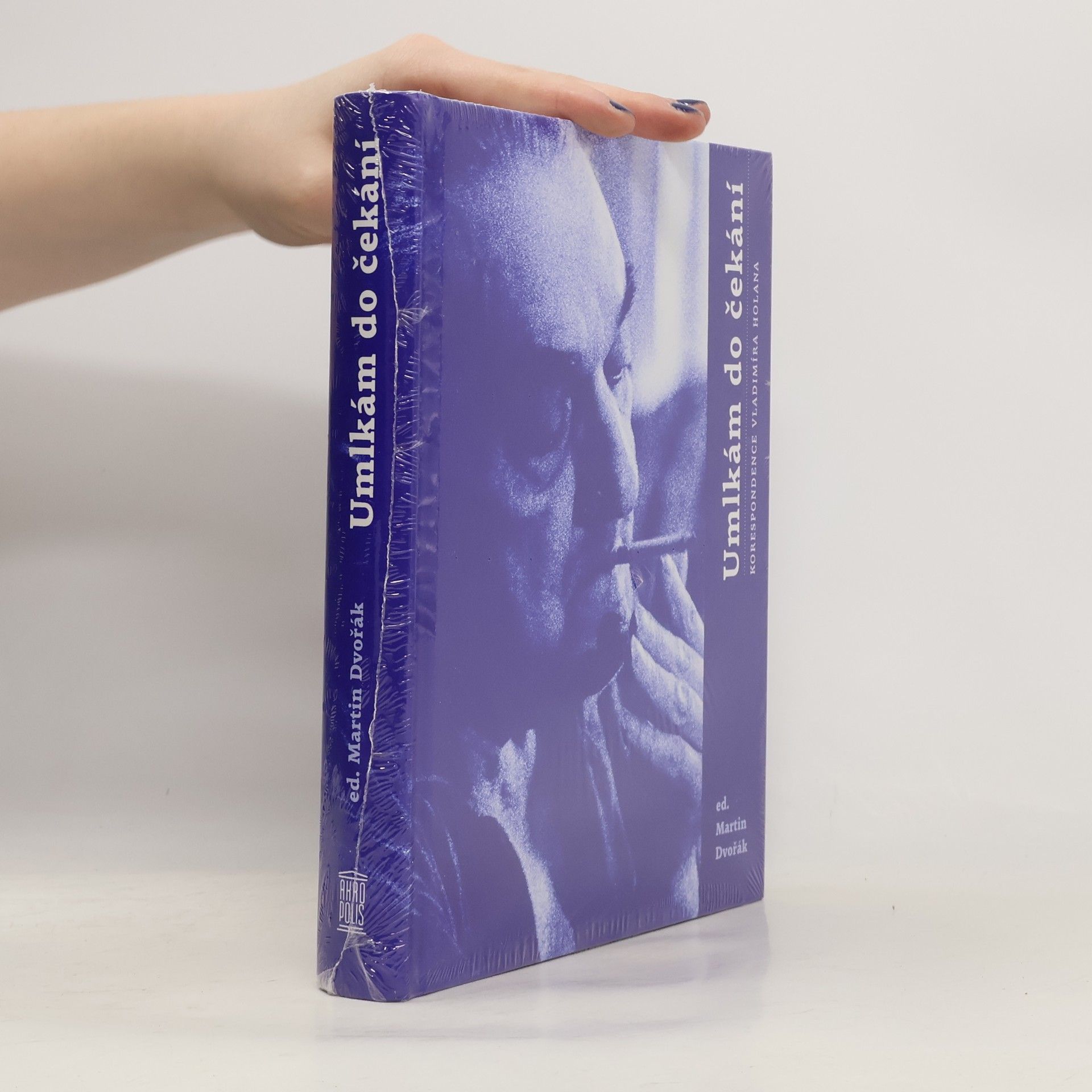 Vladimír Holan Umlkám do čekání: Korespondence Vladimíra Holana