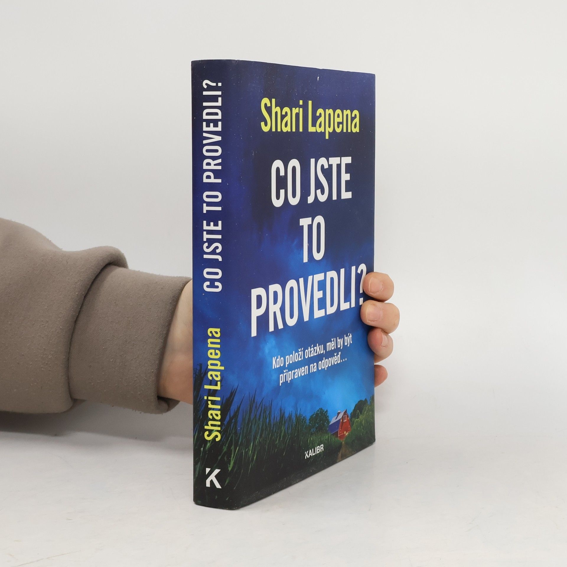 Shari Lapena Co jste to provedli?