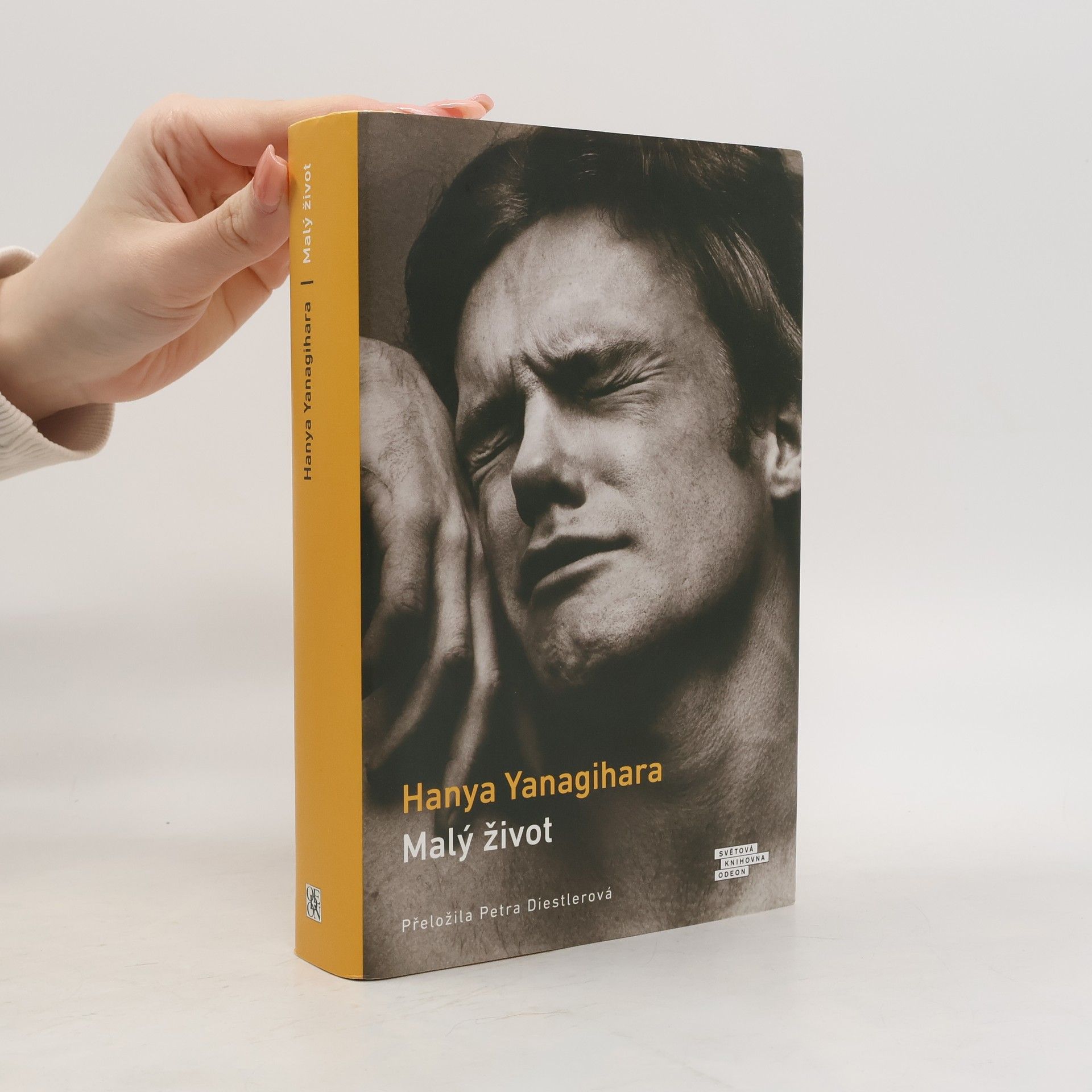 Hanya Yanagihara Malý život