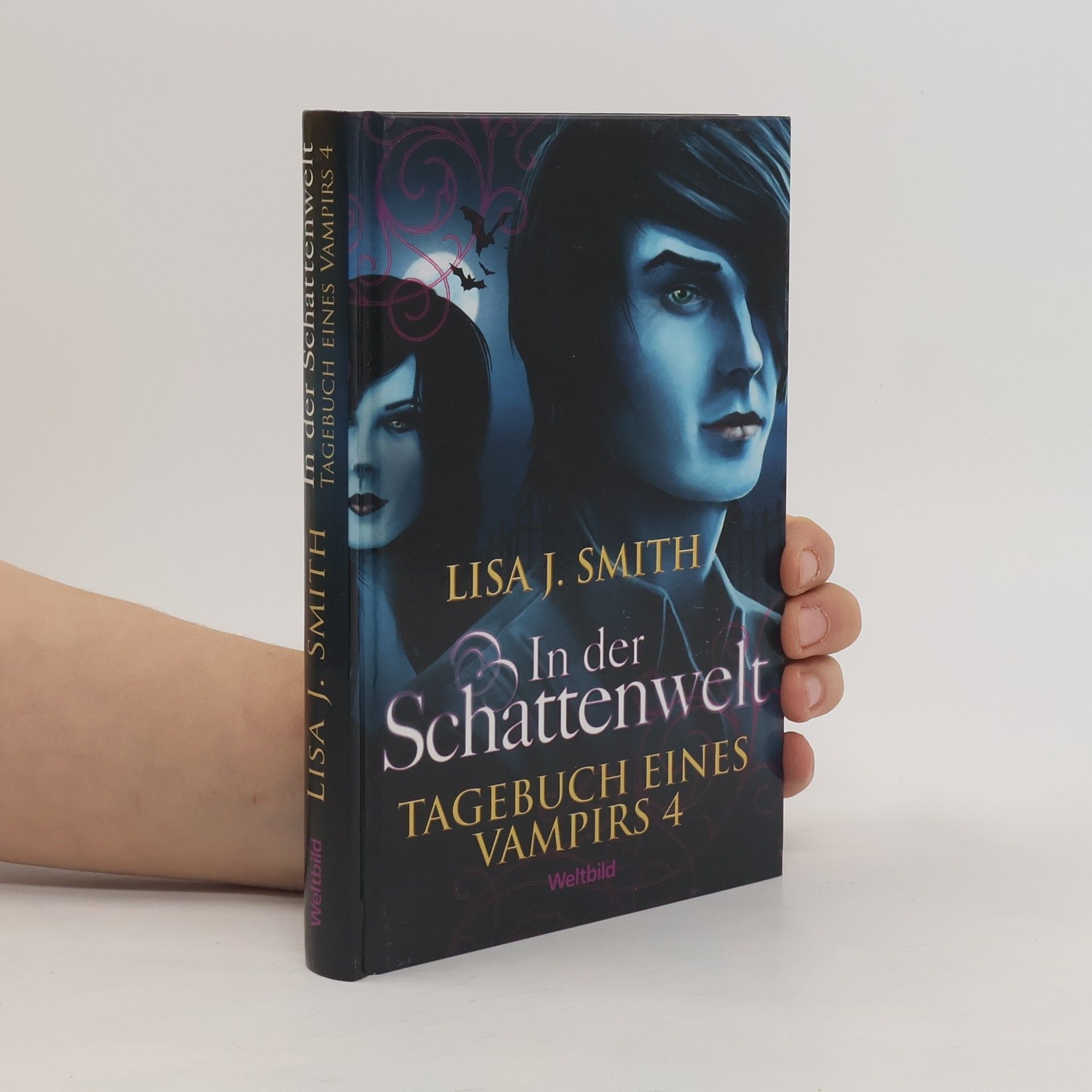 Tagebuch eines Vampirs 4. In der Schattenwelt