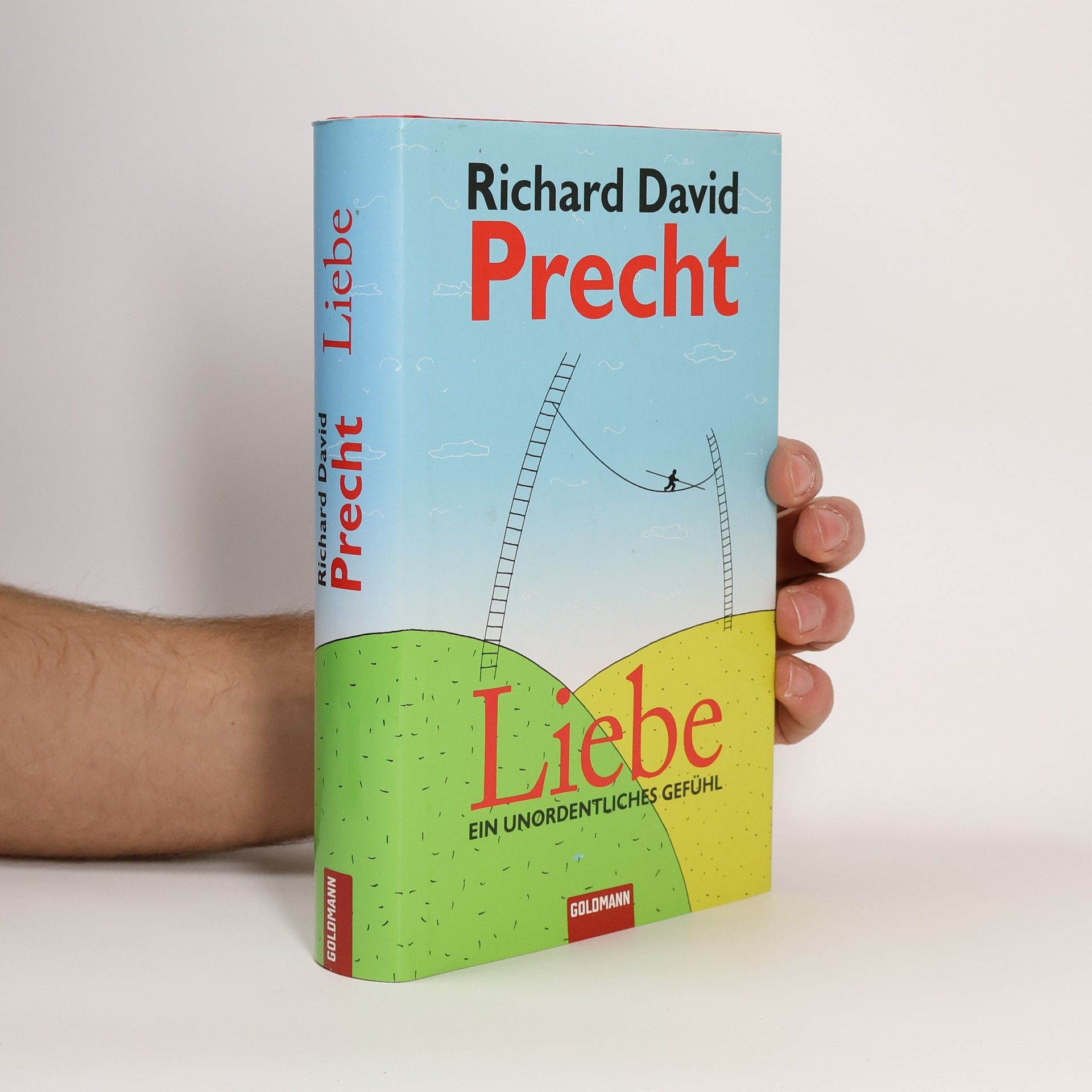 Richard David Precht Liebe ein Unordentliches Gefühl