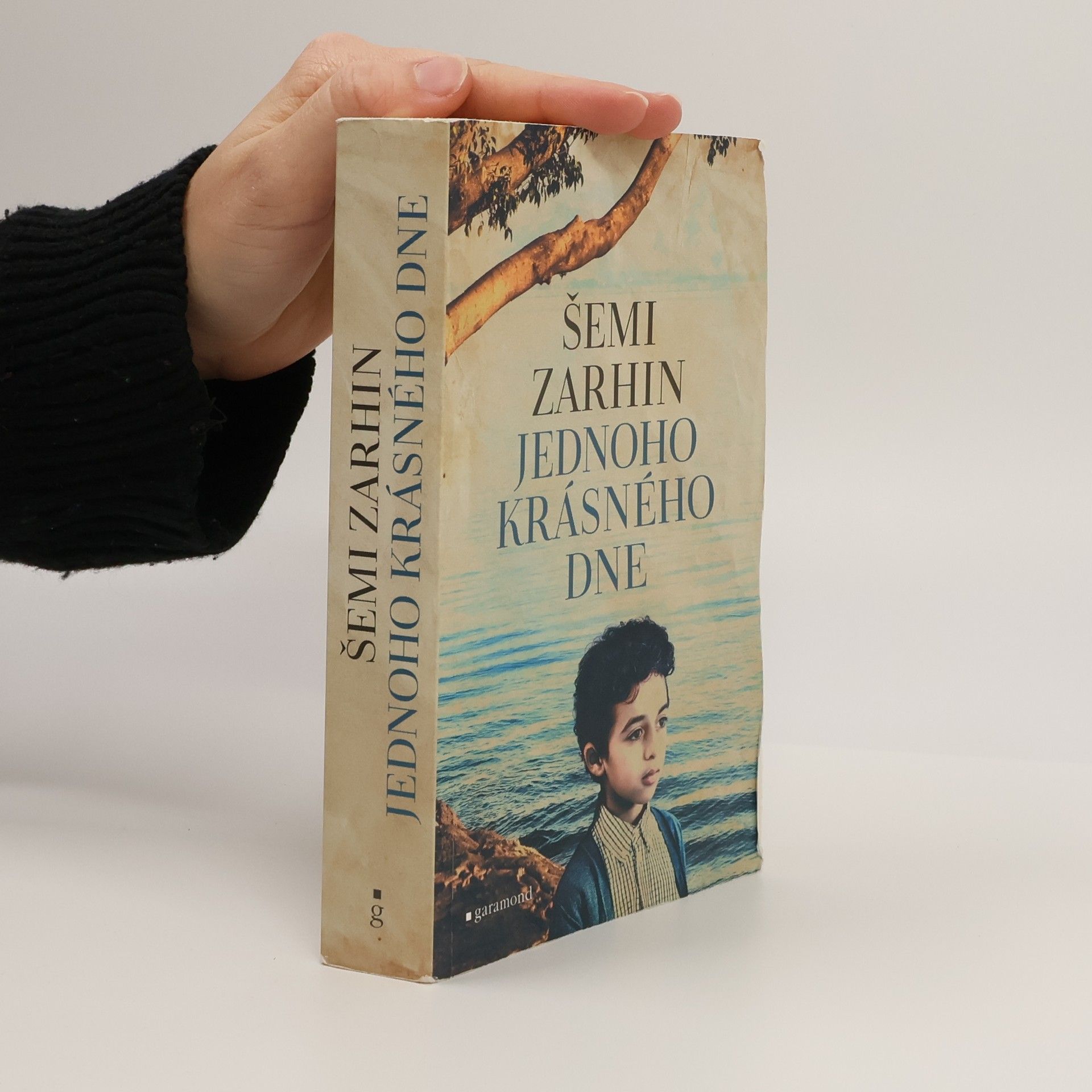 Šimi Zarchin Jednoho krásného dne