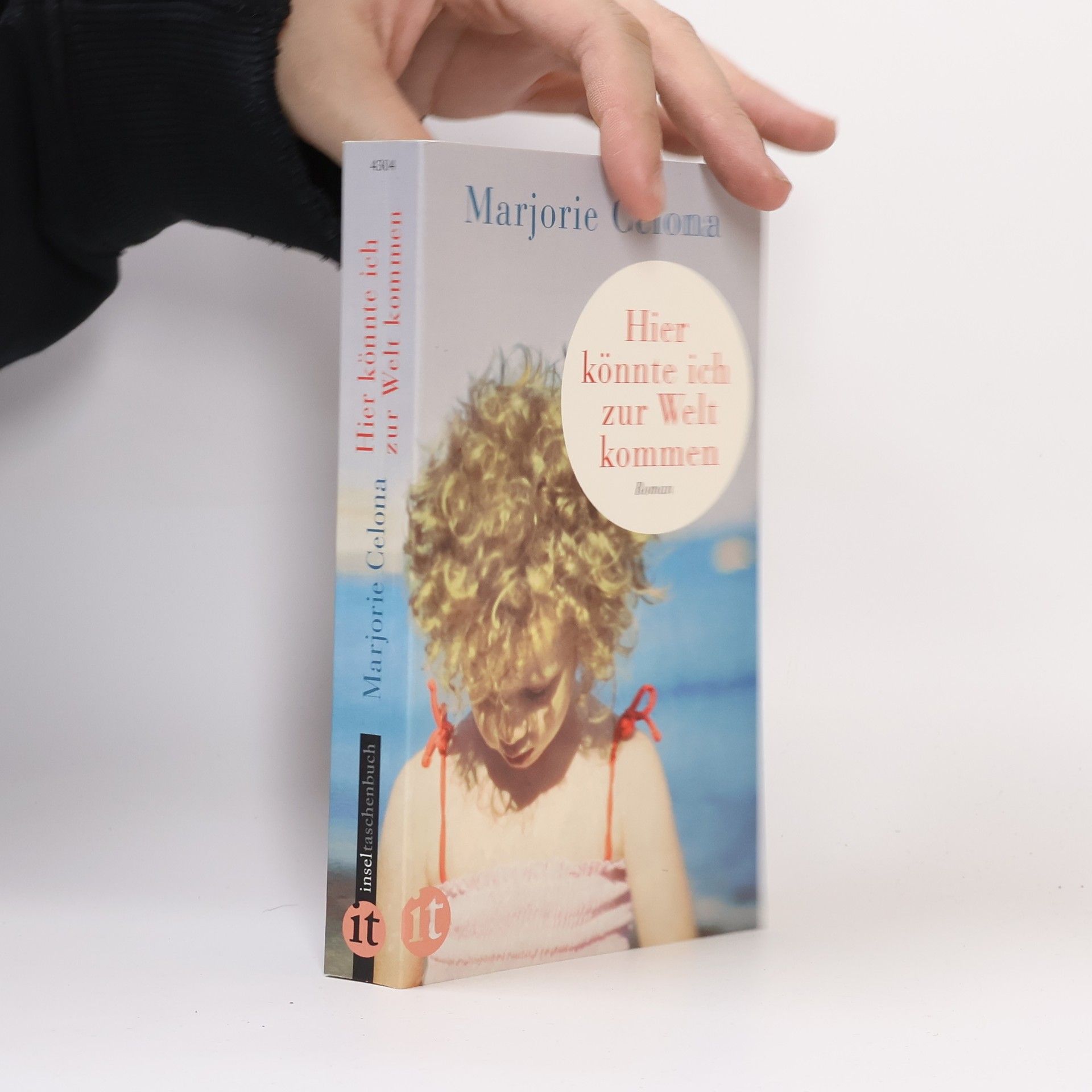 Marjorie Celona Hier könnte ich zur Welt kommen