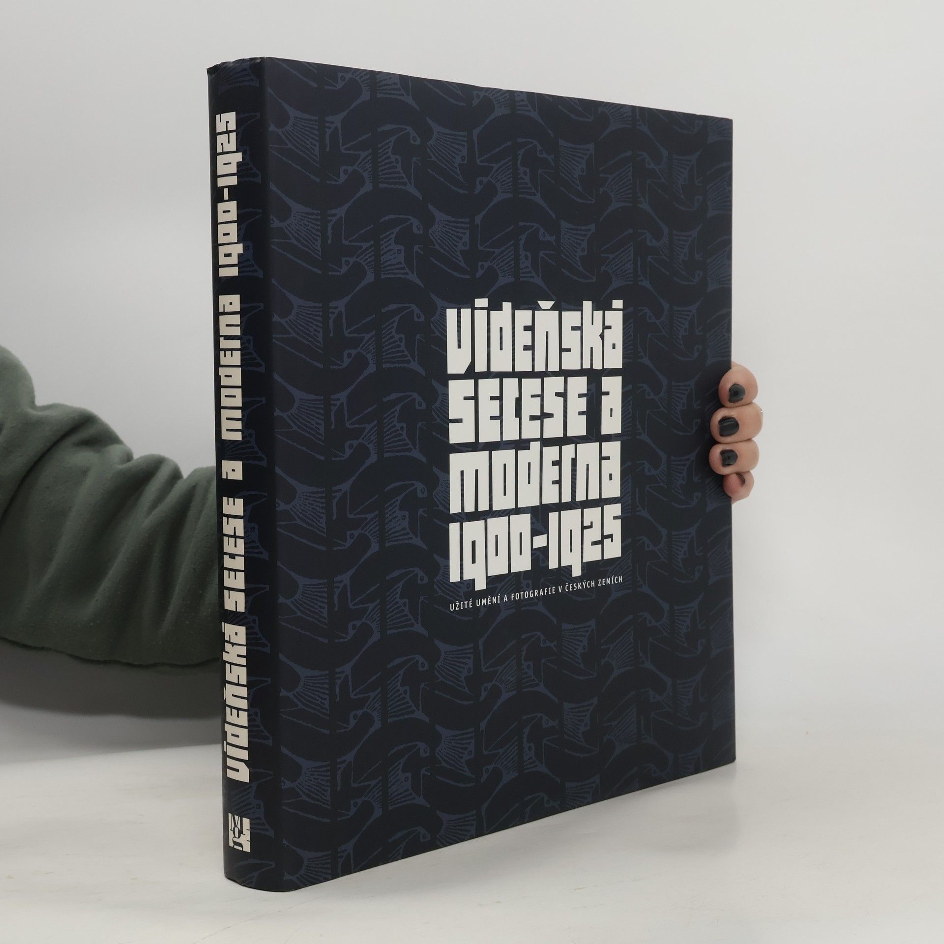 Miroslav Ambroz Vídeňská secese a moderna 1900–1925