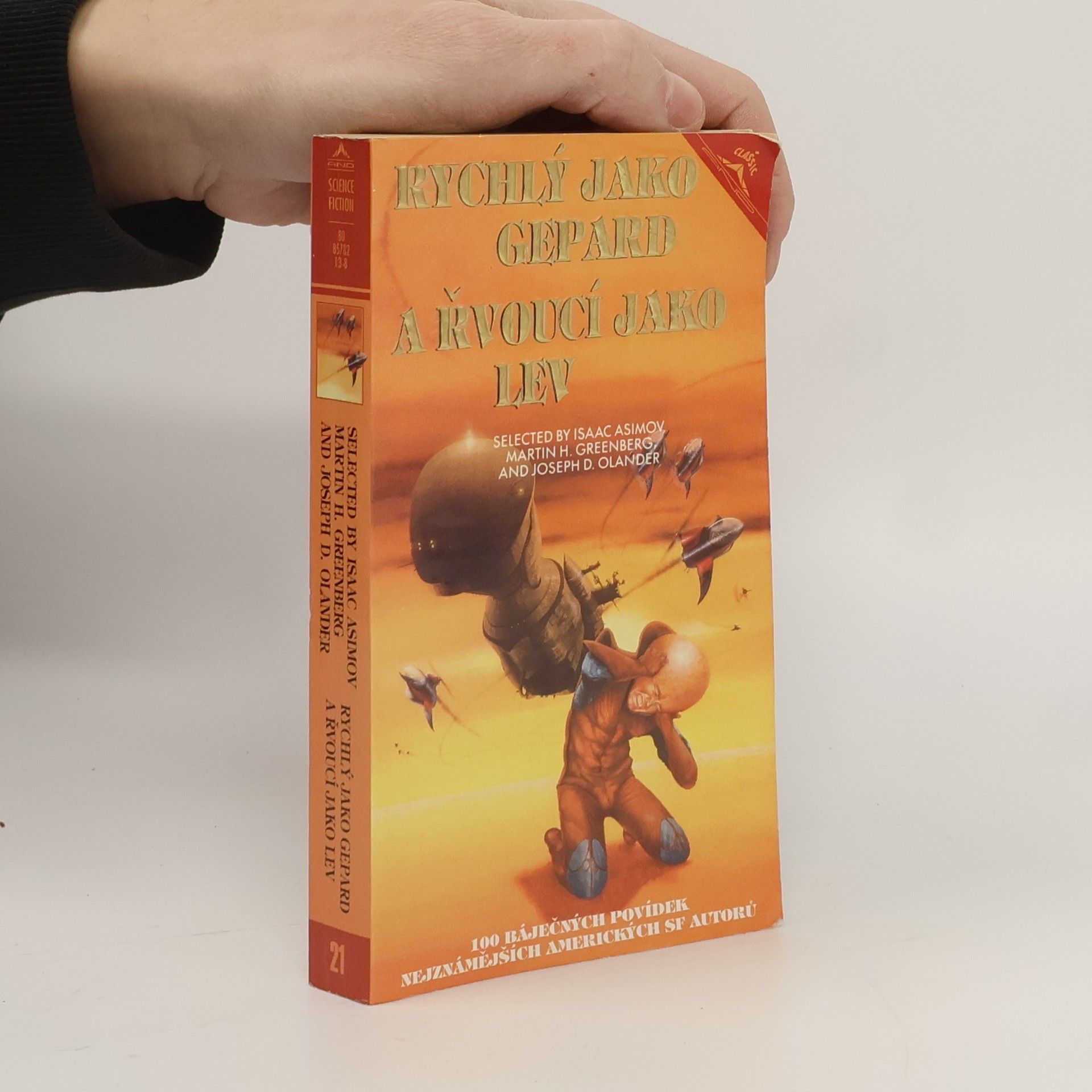 Autorenkollektiv Rychlý jako gepard a řvoucí jako lev