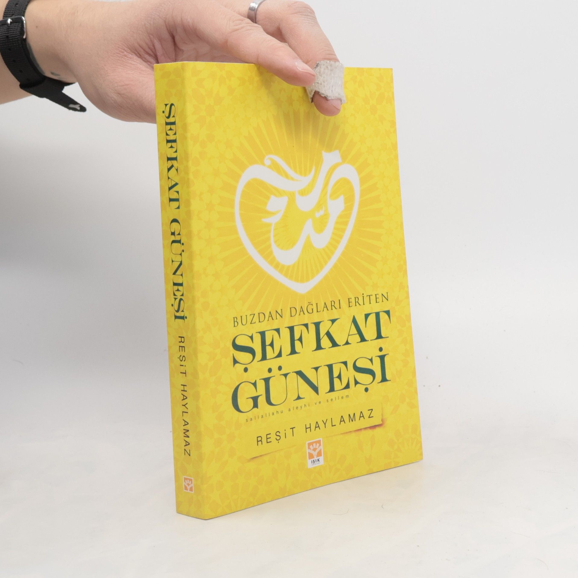 Resit Haylamaz Şefkat Güneşi: Buzdan Dağları Eriten