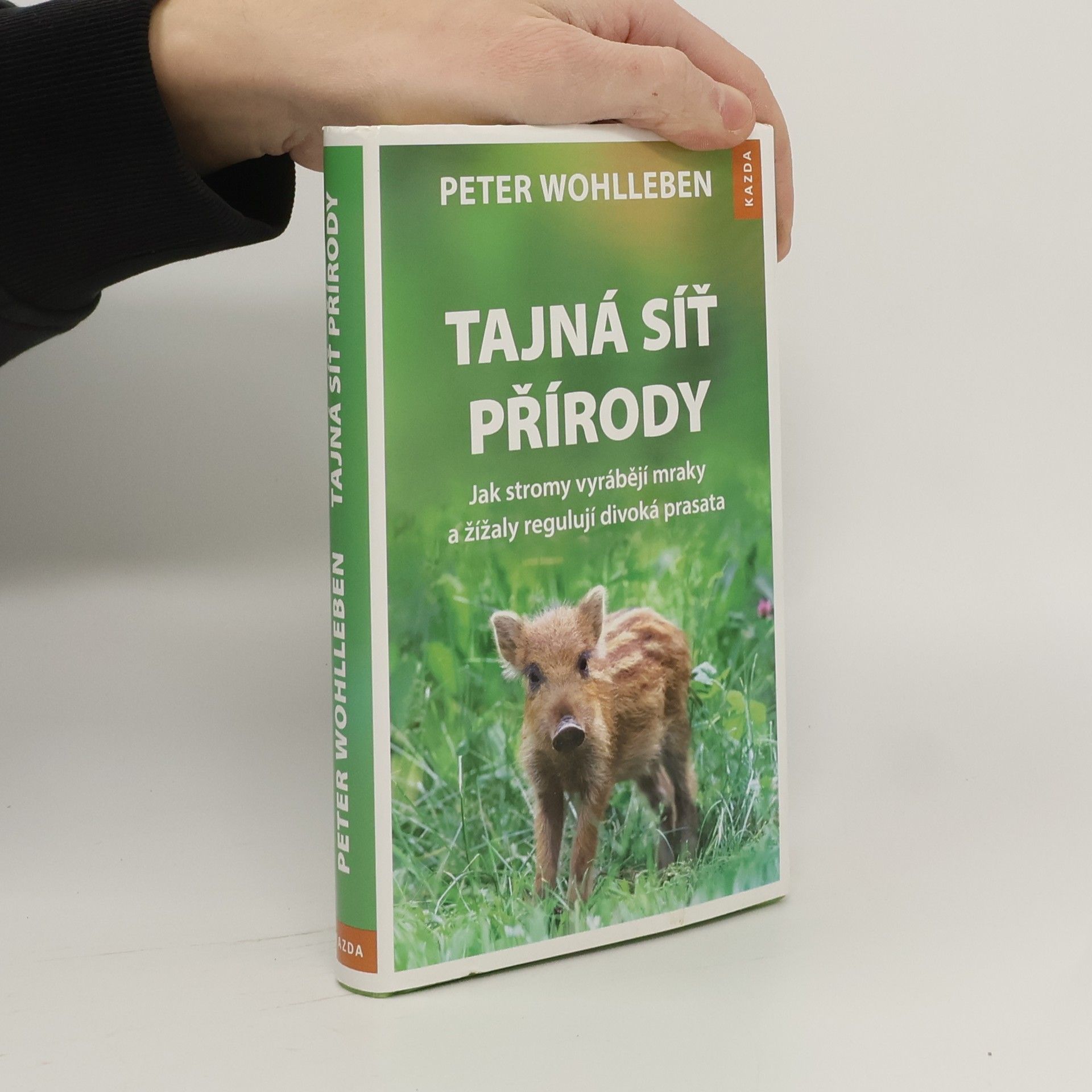 Peter Wohlleben Tajná síť přírody: Jak stromy vyrábějí mraky a žížaly regulují divoká prasata
