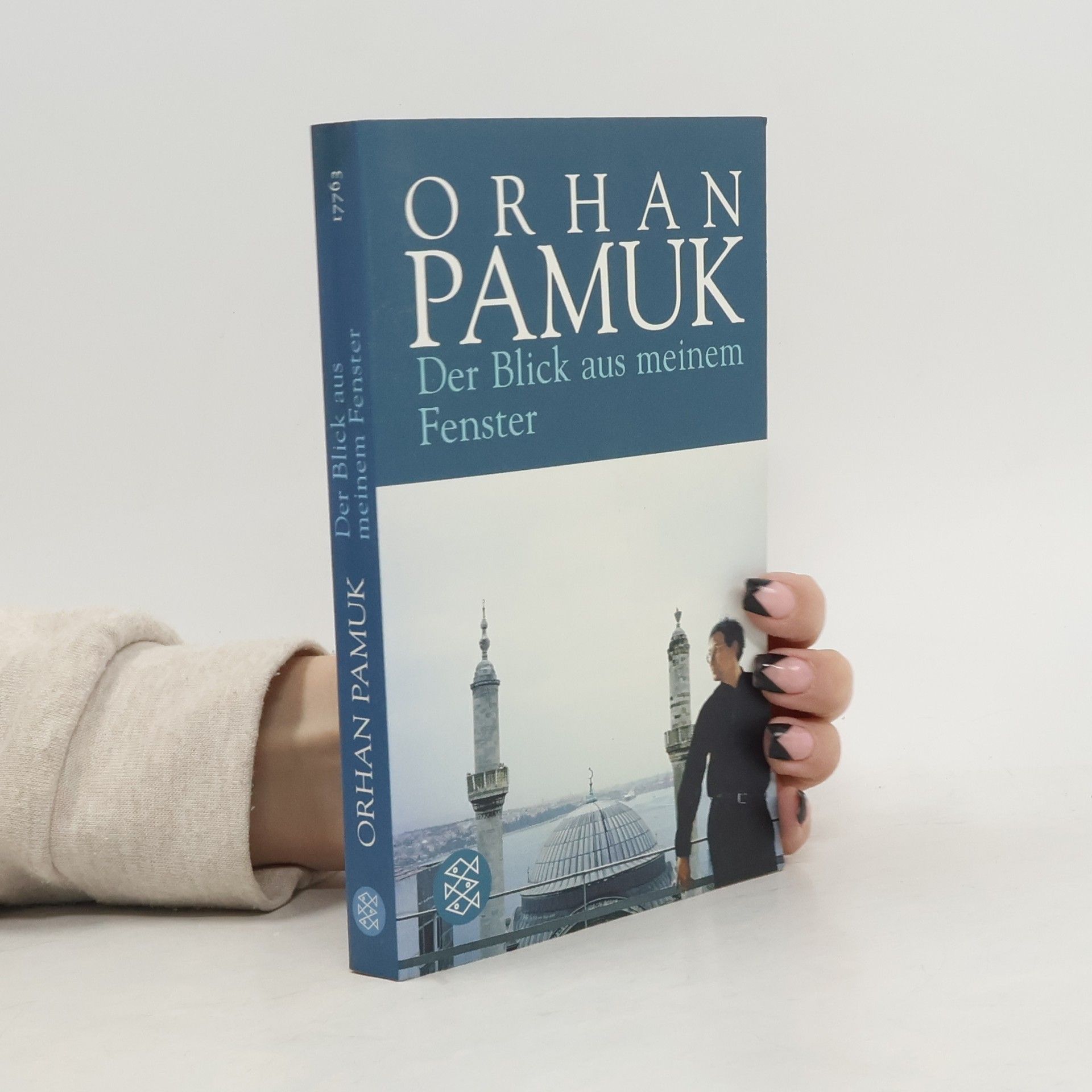 Orhan Pamuk Der Blick aus meinem Fenster