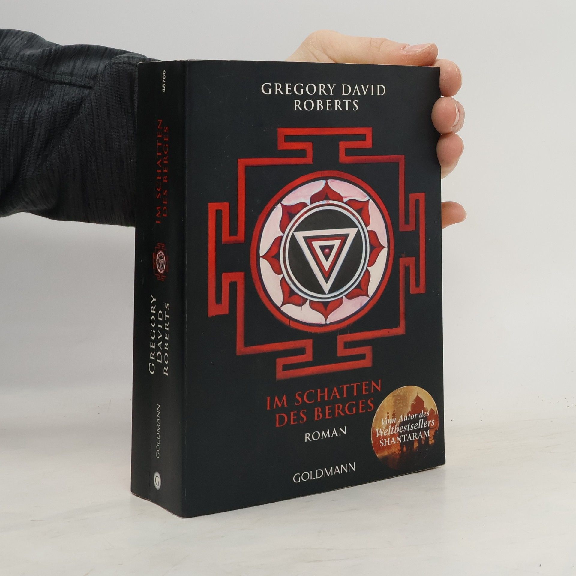 Gregory David Roberts Im Schatten des Berges