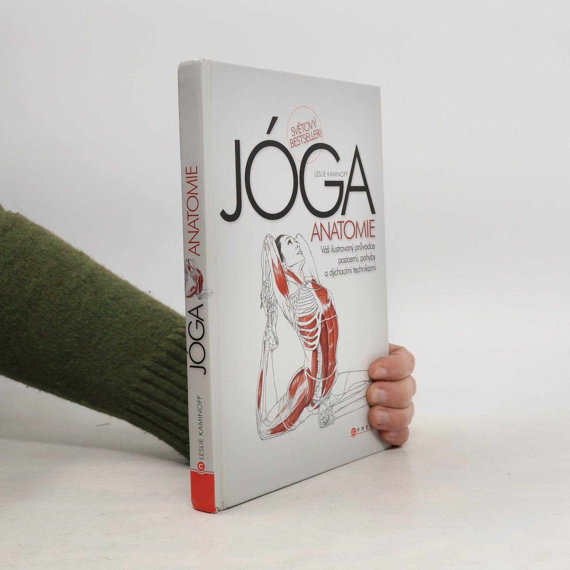 Jóga - anatomie