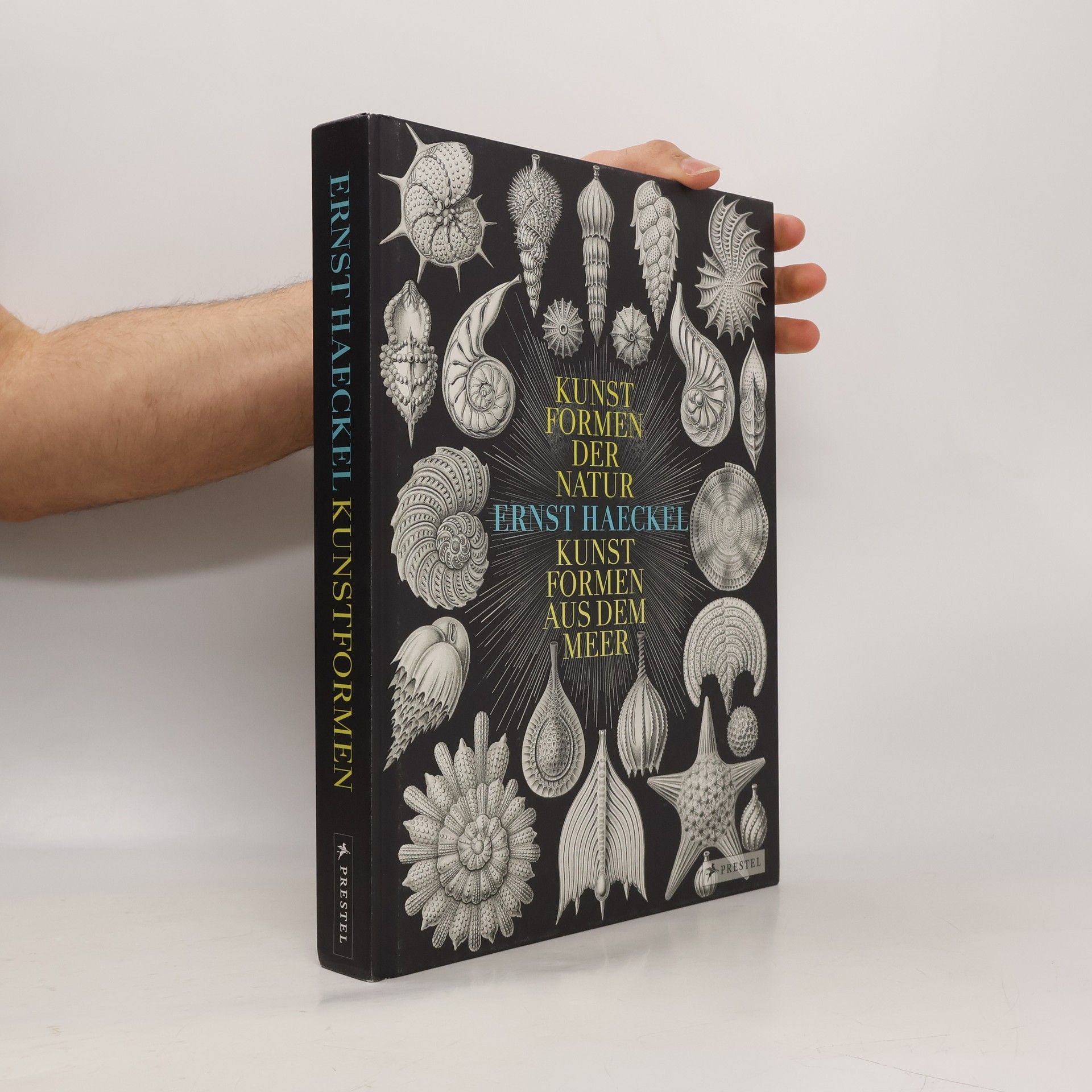 Kunstformen der Natur - Kunstformen aus dem Meer