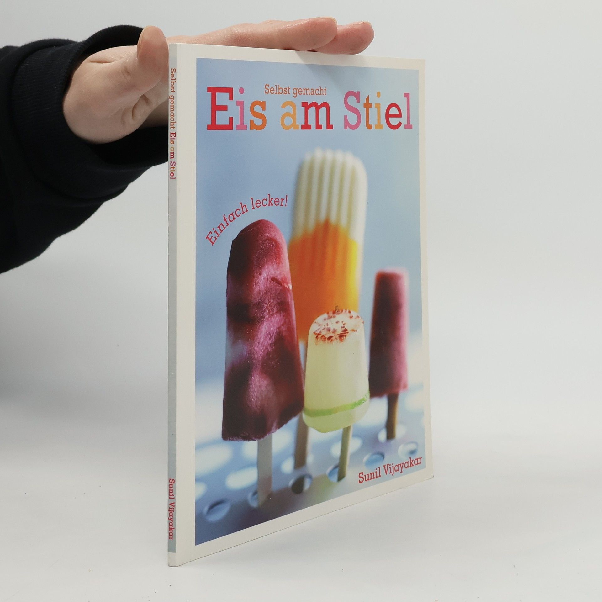 Autorenkollektiv Eis am Stiel selbst gemacht