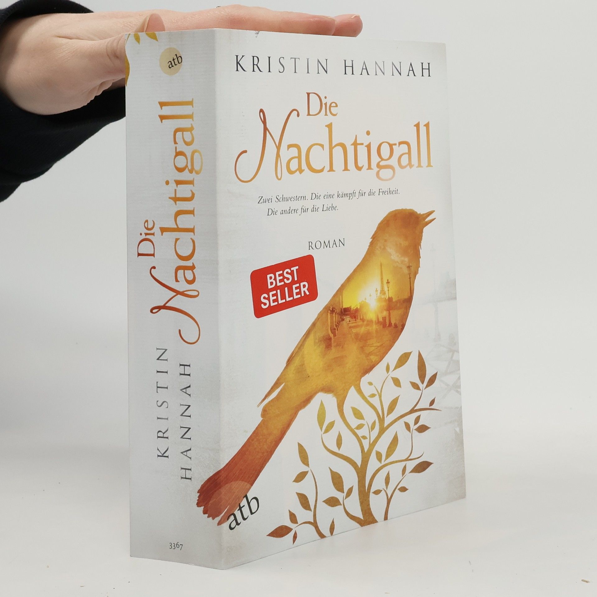 Kristin Hannah Die Nachtigall
