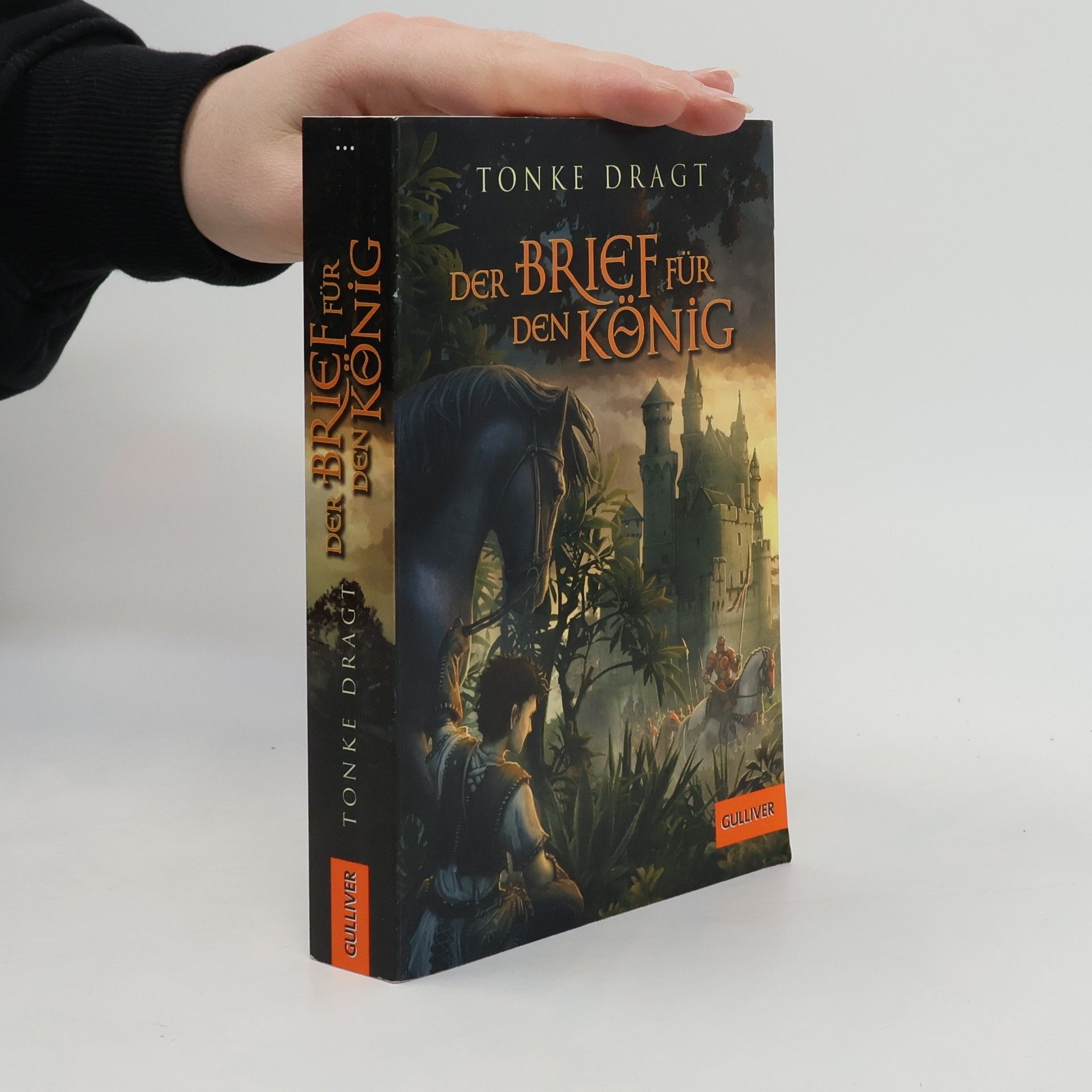 Tonke Dragt Der Brief für den König