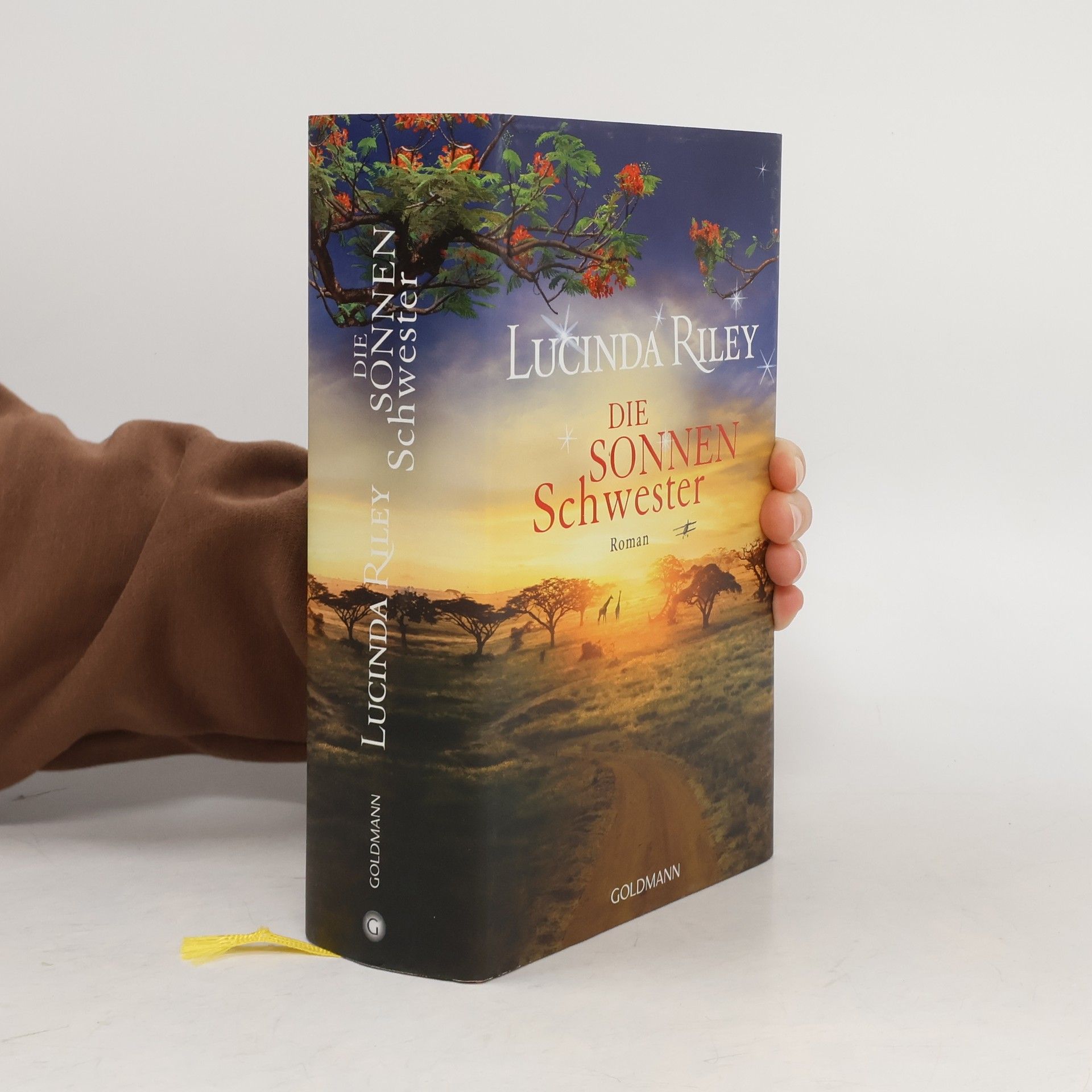 Lucinda Riley Die Sonnenschwester