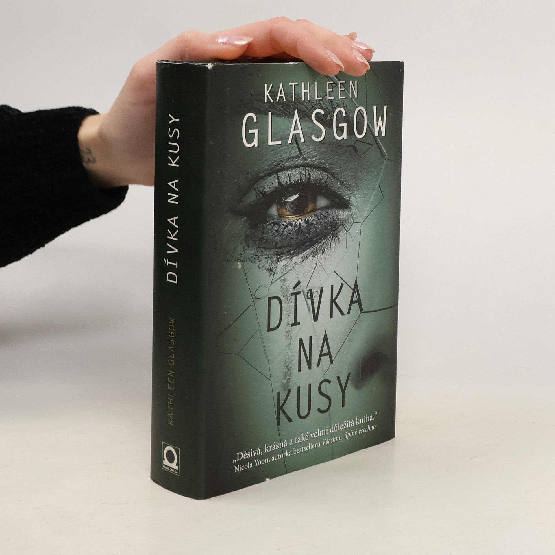 Kathleen Glasgow Dívka na kusy