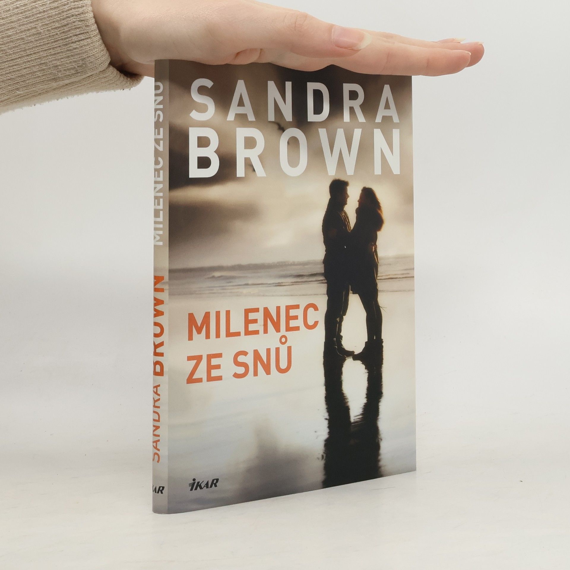 Sandra Brown Milenec ze snů