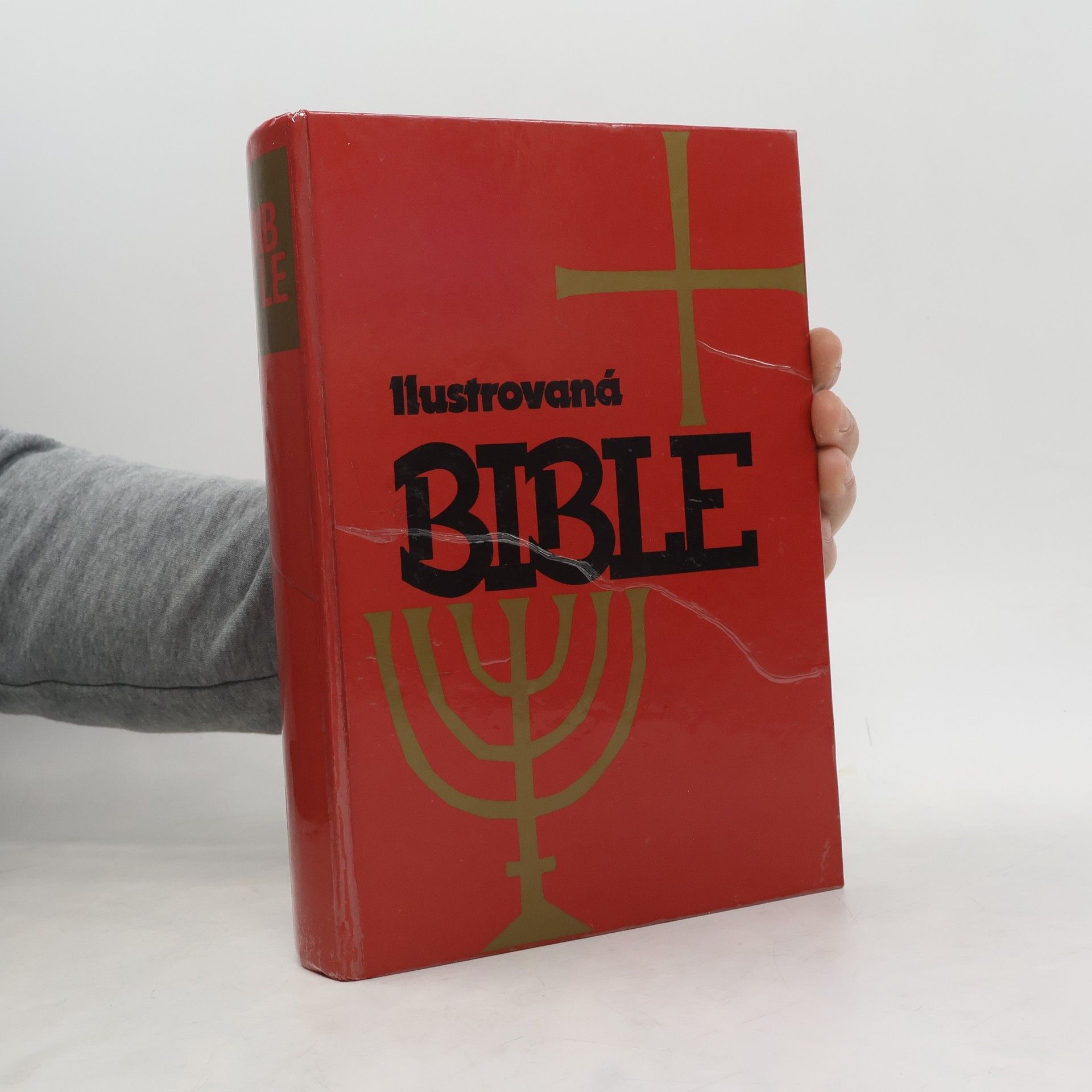 Samuel Terrien Ilustrovaná Bible pro mládež